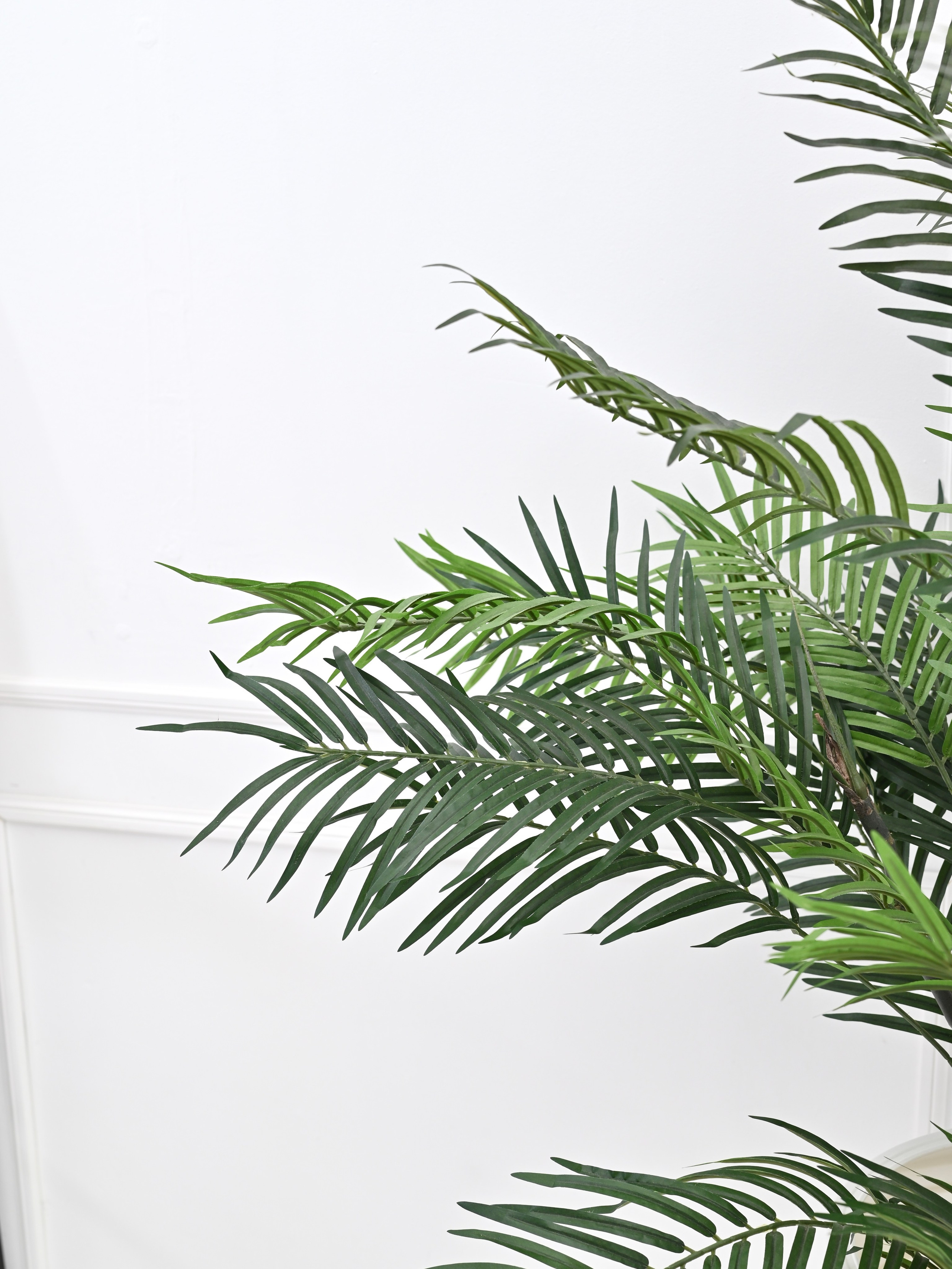 Большой выбор локаций для фотосъемок для каталогов на маркетплейсы. ТМ Продакшн — Съемка для маркетплейсов в Москве