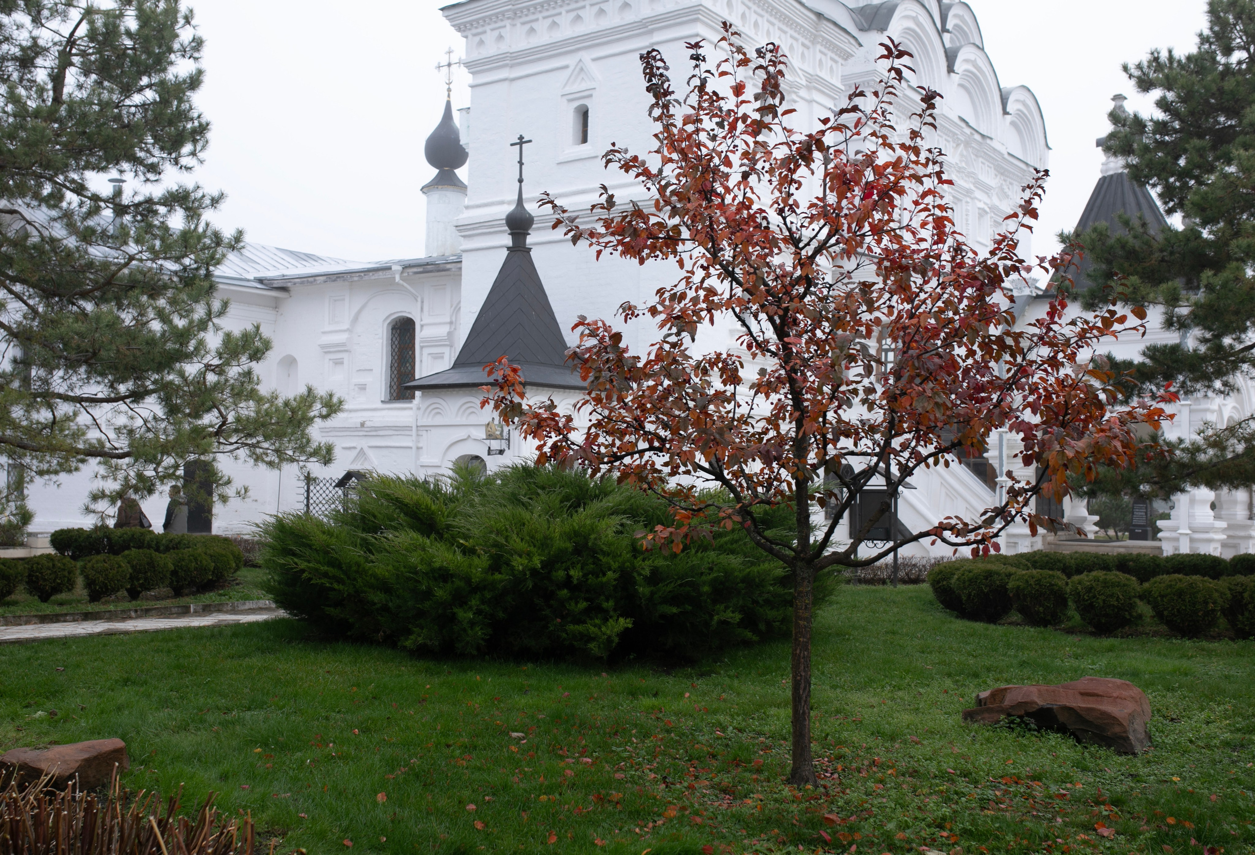 Муром — Гороховец'25. Фотограф-портретист в Москве