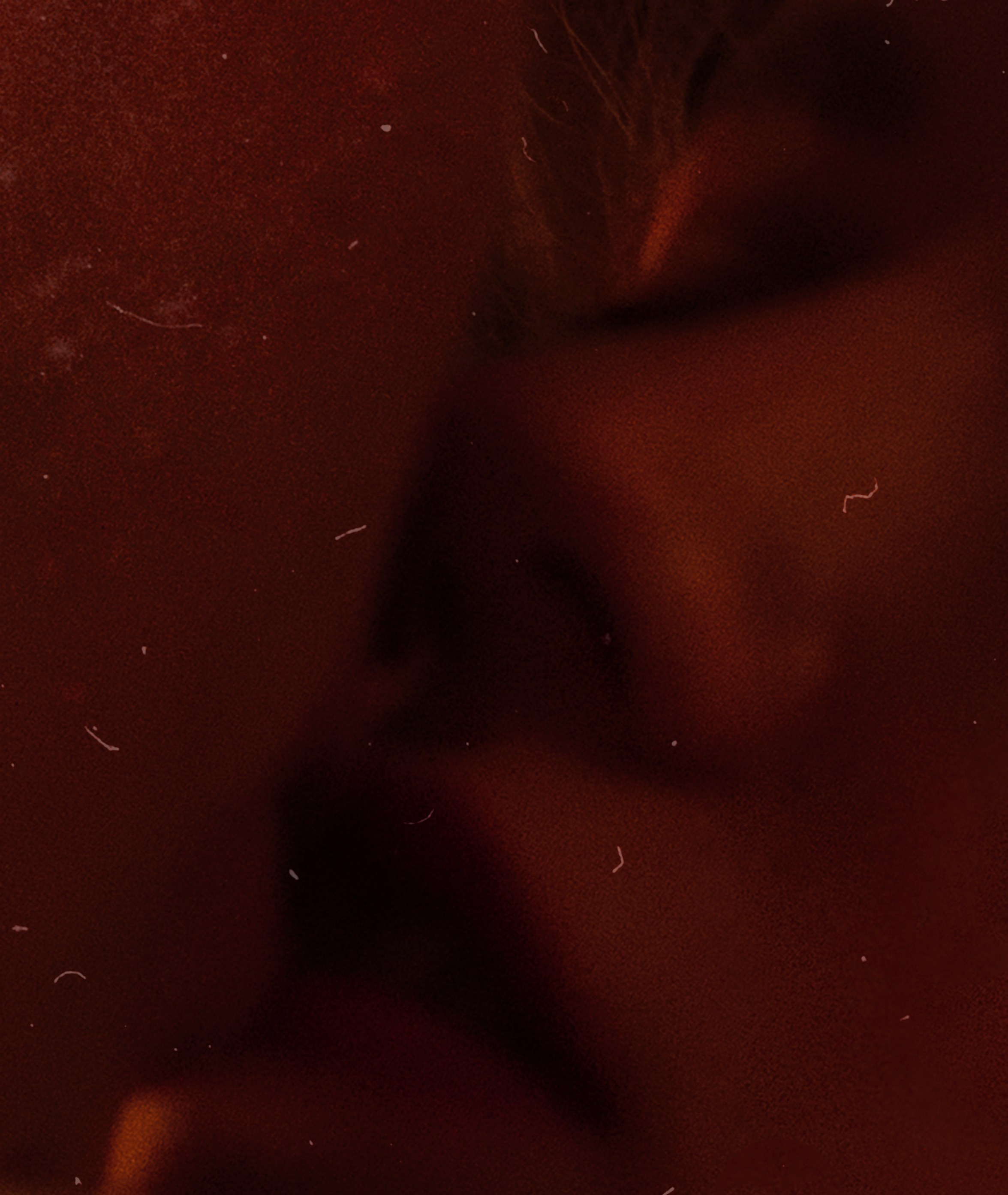 Meeting at the bar. Alyona Pukhanova — photographer, stylist, 3d designer, artist — Tbilisi, Georgia