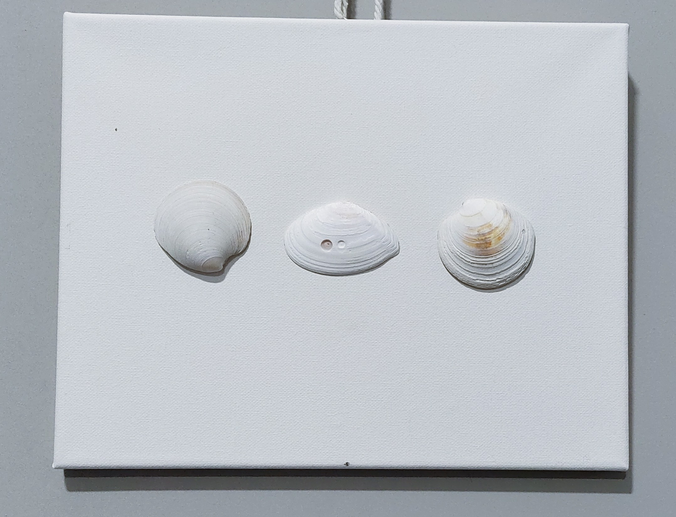 КУКУМАРИЯ-25. ПЕРСОНАЛЬНЫЙ ВЫСТАВОЧНЫЙ ПРОЕКТ. Художник, преподаватель дизайна, начинающий сценограф и режиссёр во Владивостоке