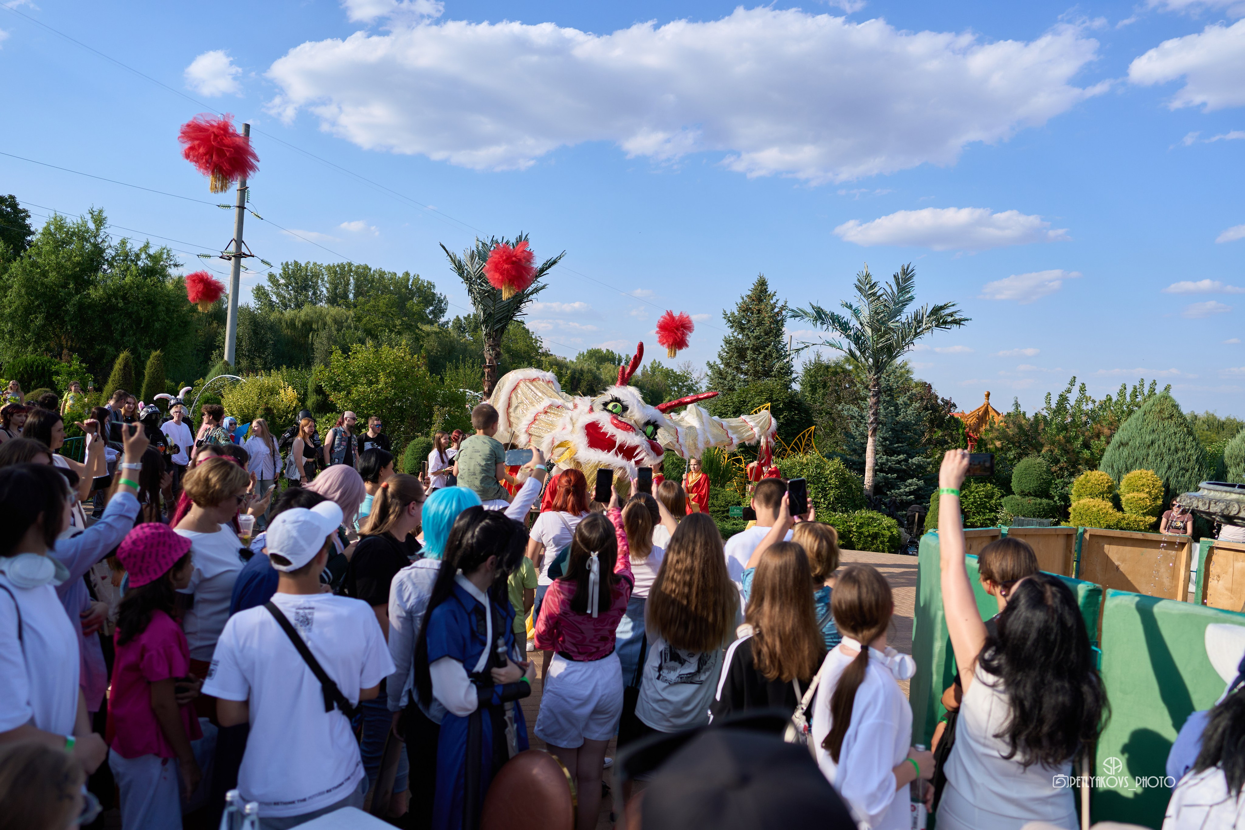 «Золотой Дракон». Фотограф, видеограф Пятигорск, Ставрополь, Ессентуки, Petlyakovs_photo