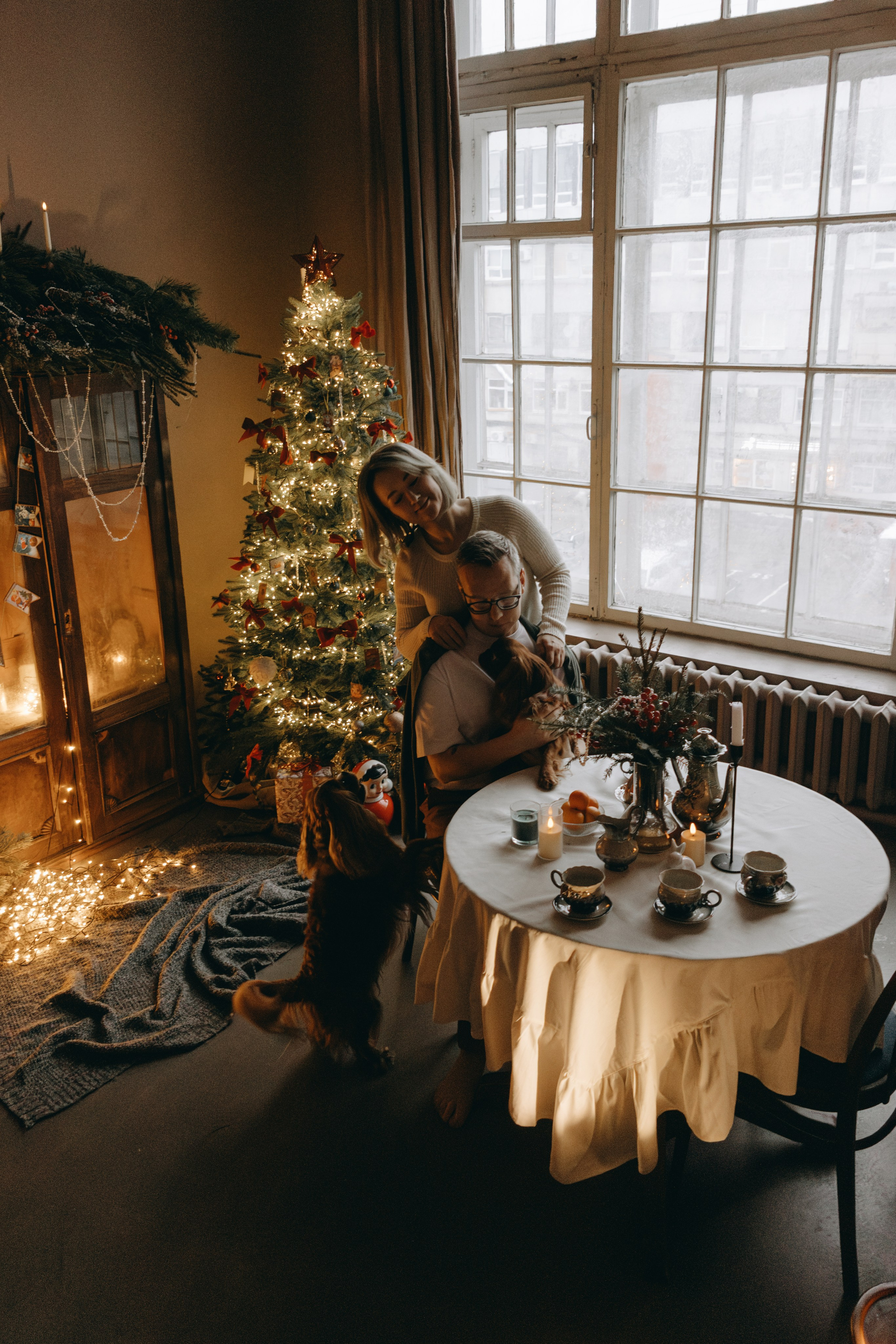 Новогодние фотостудии. Фотограф — Анималист | Санкт-Петербург