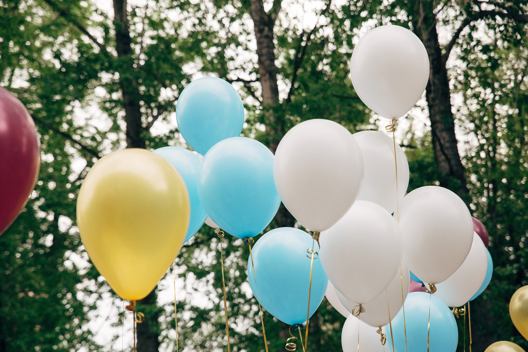 Последний звонок. Свадебный и семейный фотограф в Перми Андрей Желнин