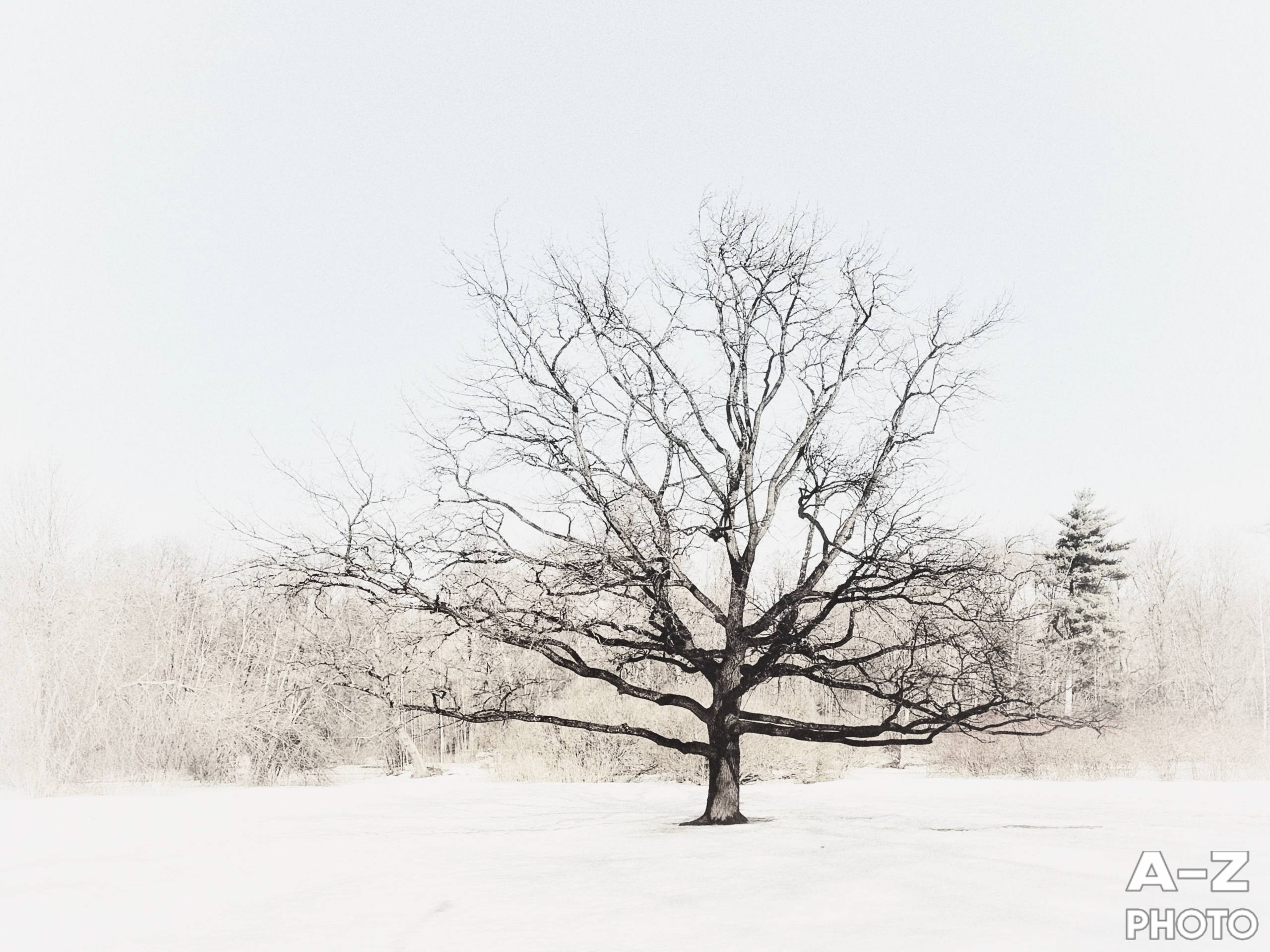 #ФОТОНЕДЕЛИ 16.03.2026. Женский семейный фотограф Тула Москва Захарова Анна