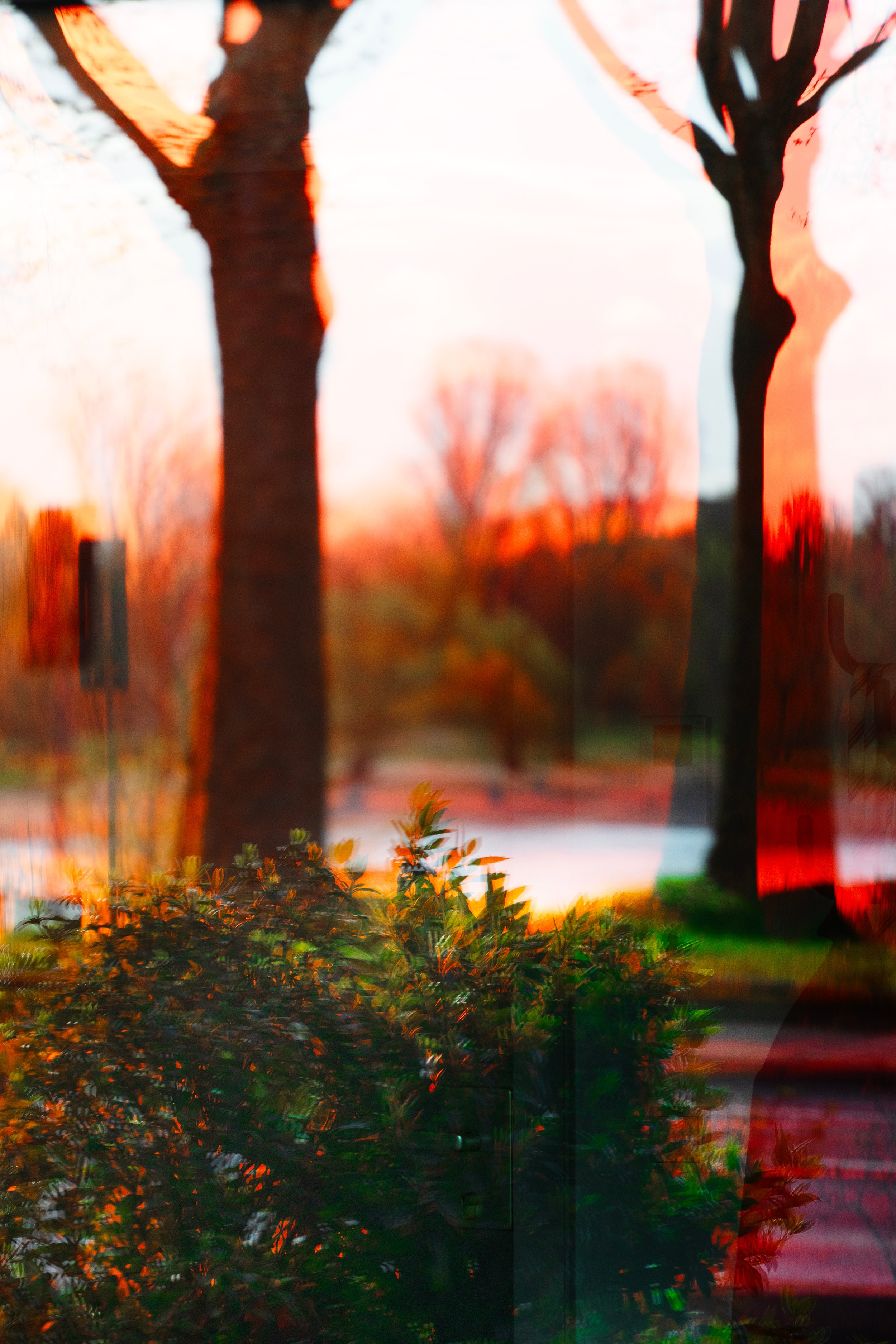 Walks in the Forest. Vasiliy Riabovol – Fine Art Photography | Zeit, Raum und Stille