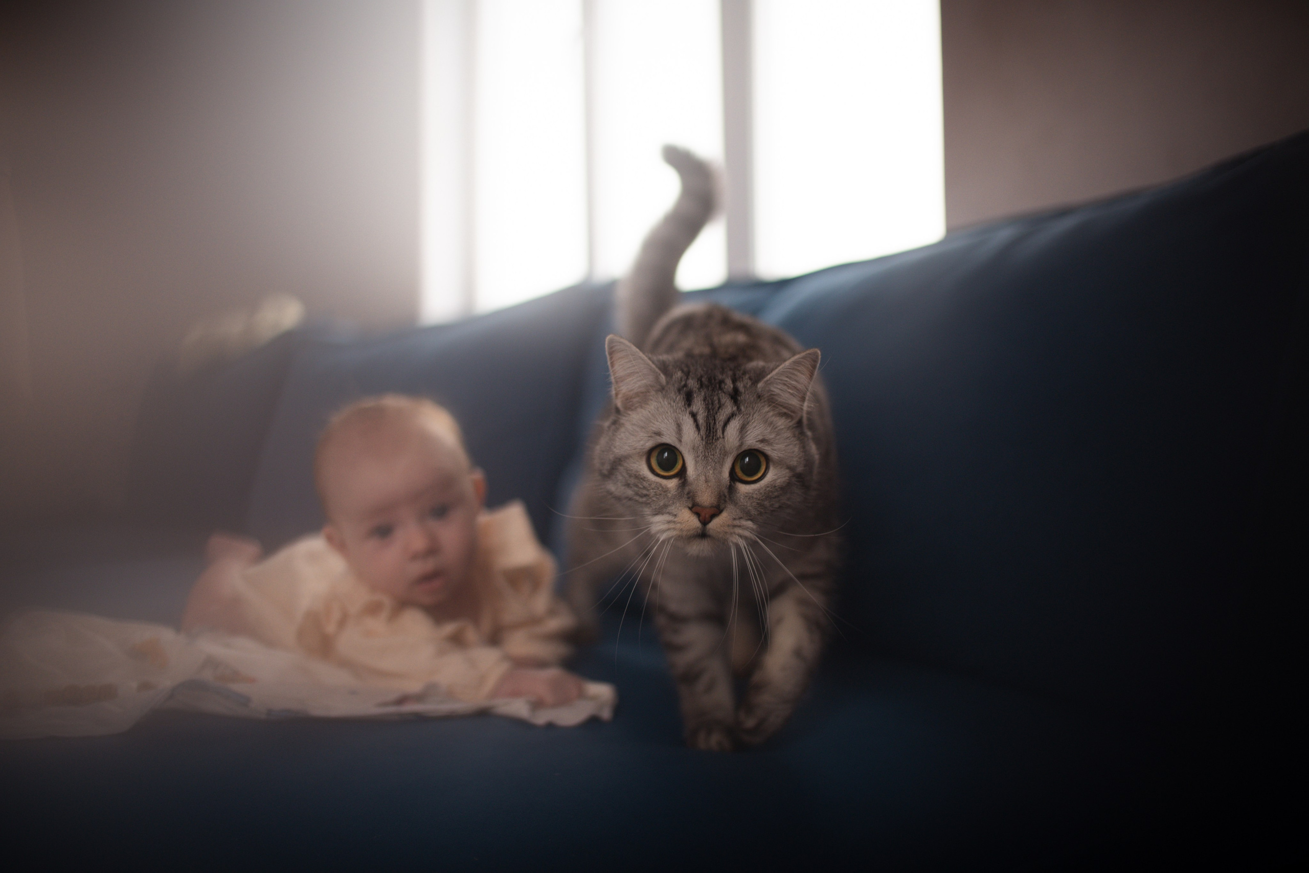 Lifestyle съемка. Профессиональный фотограф Елена Красилина г.Ярославль, г. Рыбинск