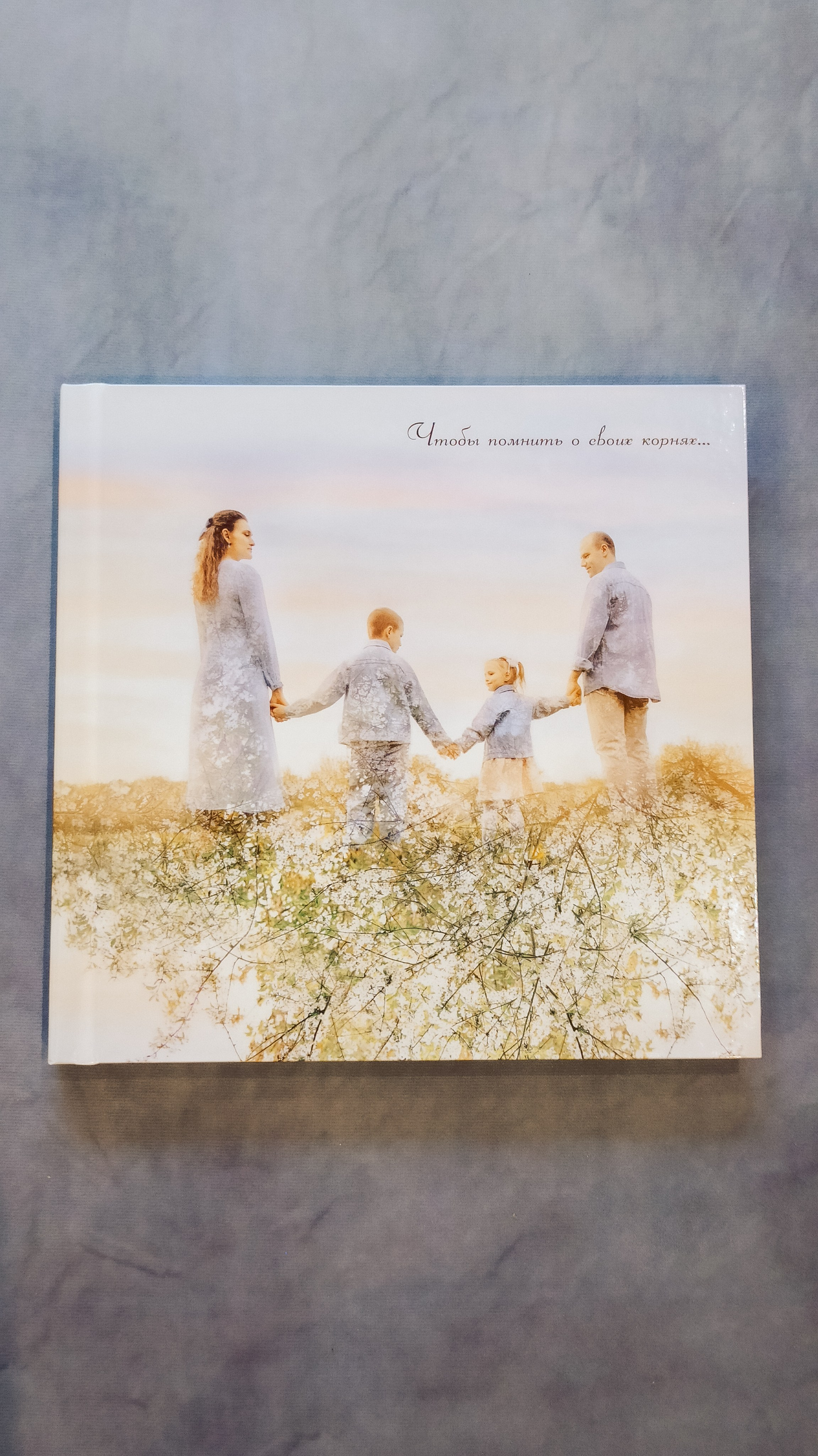 Моя родословная книга. Семейный и детский фотограф в Москве Тихонова Ксения