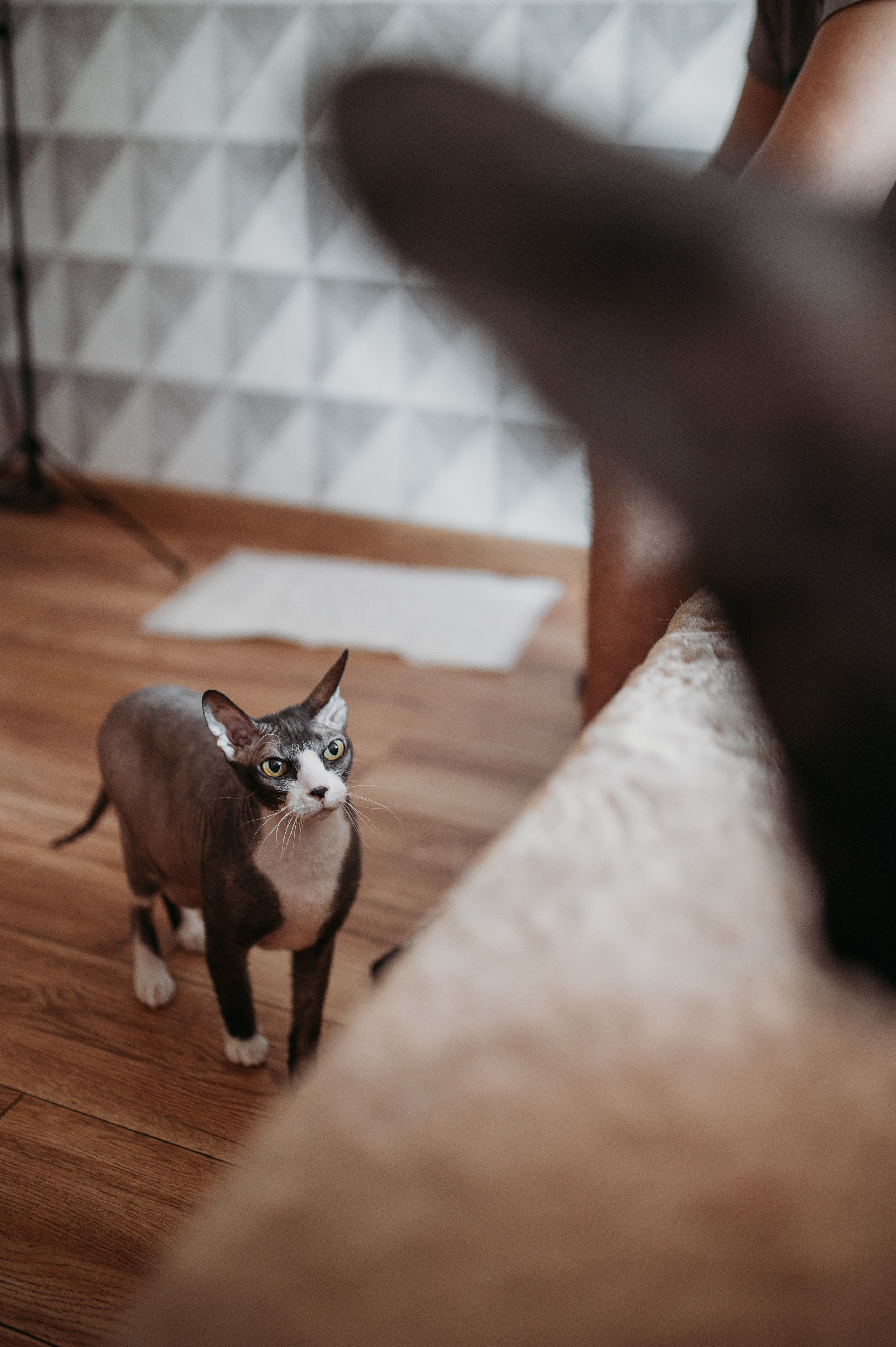 Домашняя съемка Катя, Паша и компания). Фотограф Нижний Новгород Екатерина Кукленкова