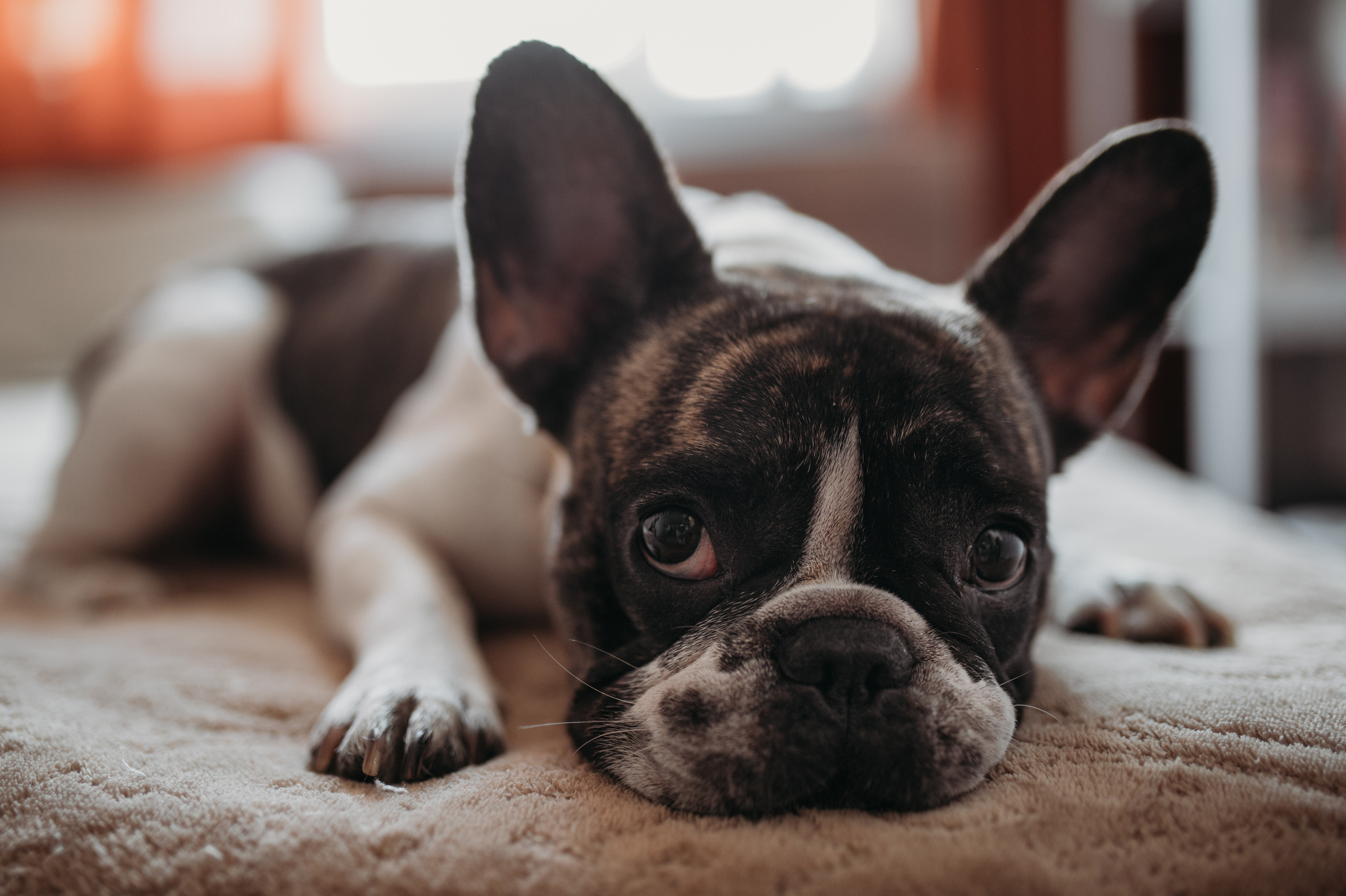 Домашняя съемка Катя, Паша и компания). Фотограф Нижний Новгород Екатерина Кукленкова