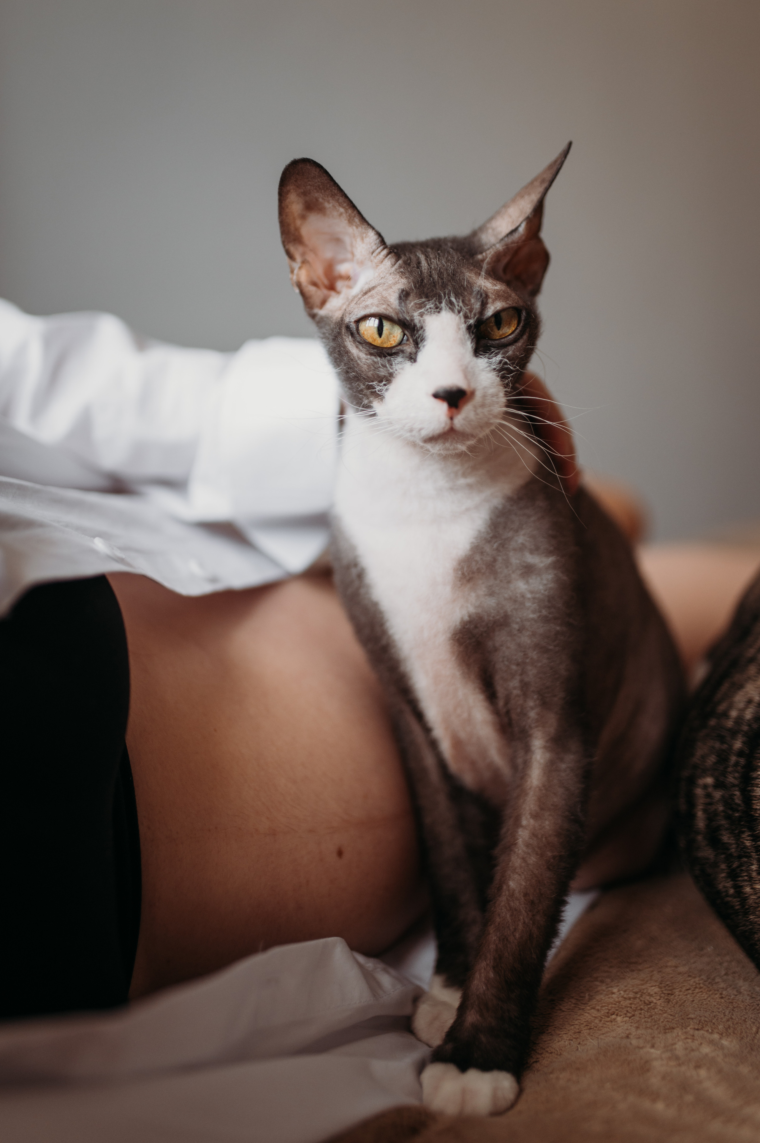 Домашняя съемка Катя, Паша и компания). Фотограф Нижний Новгород Екатерина Кукленкова