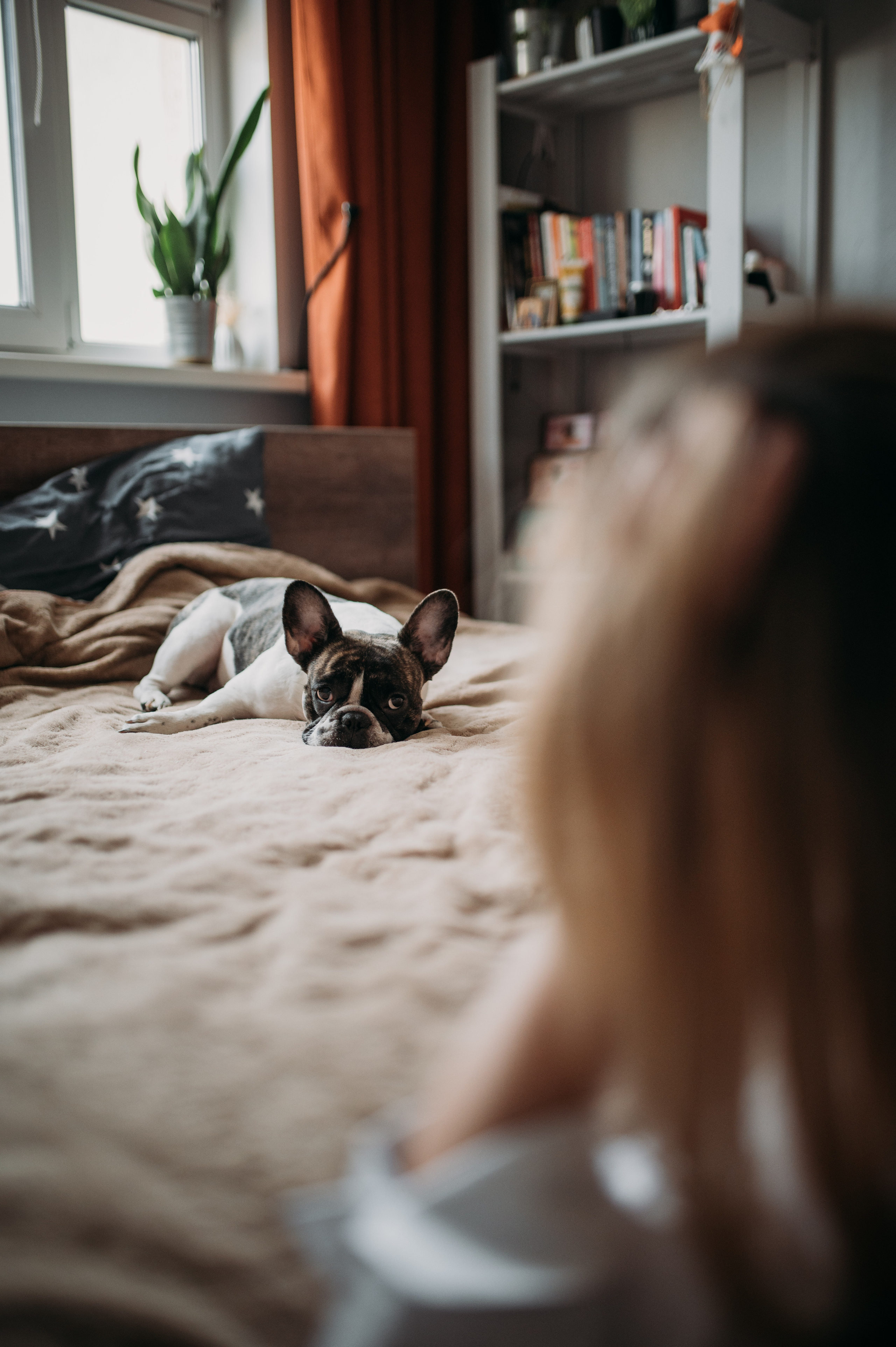 Домашняя съемка Катя, Паша и компания). Фотограф Нижний Новгород Екатерина Кукленкова