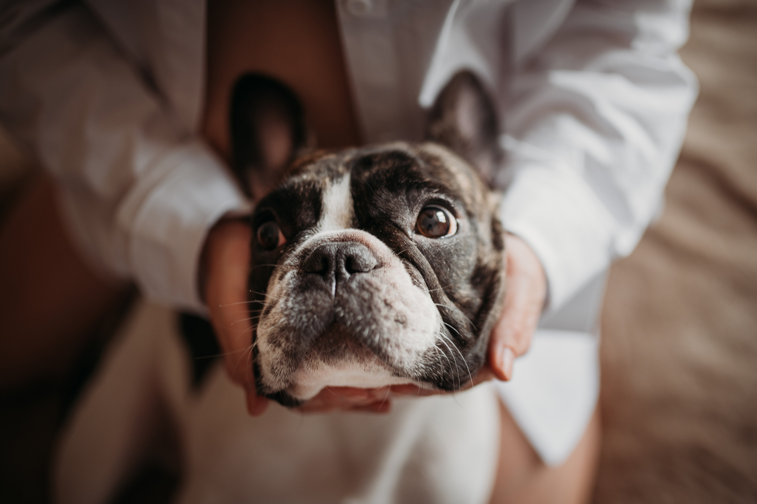 Домашняя съемка Катя, Паша и компания). Фотограф Нижний Новгород Екатерина Кукленкова