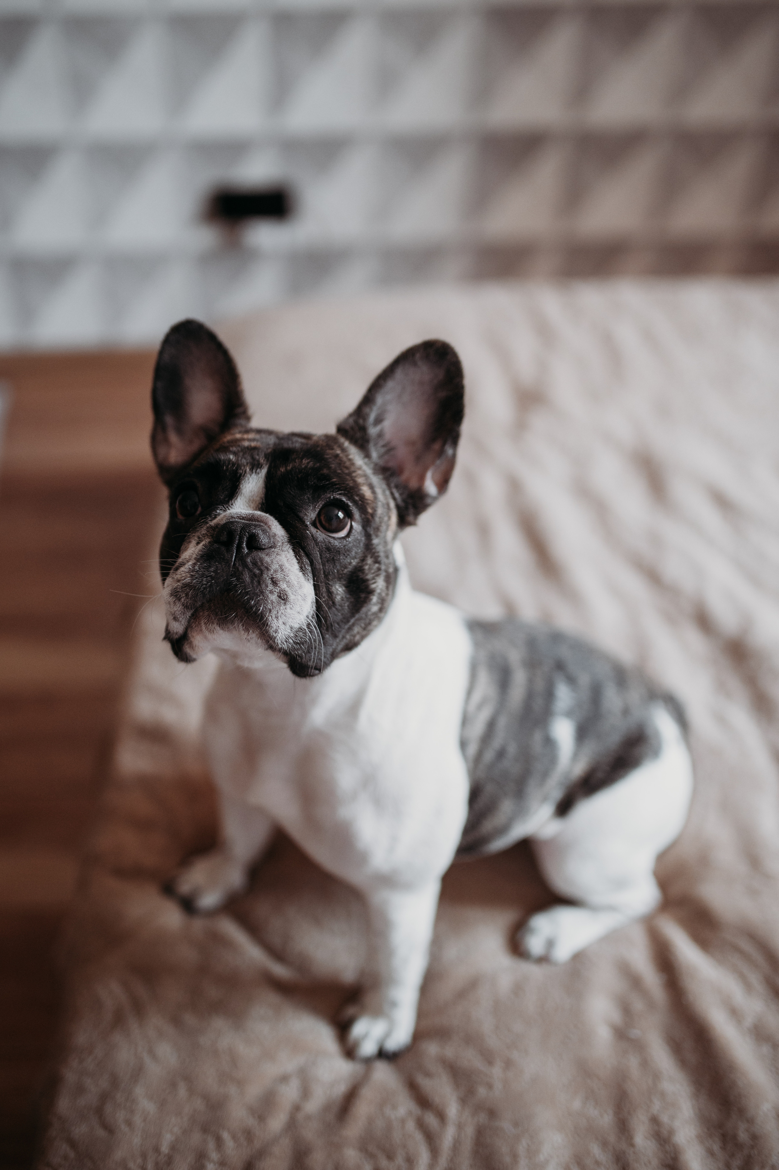 Домашняя съемка Катя, Паша и компания). Фотограф Нижний Новгород Екатерина Кукленкова