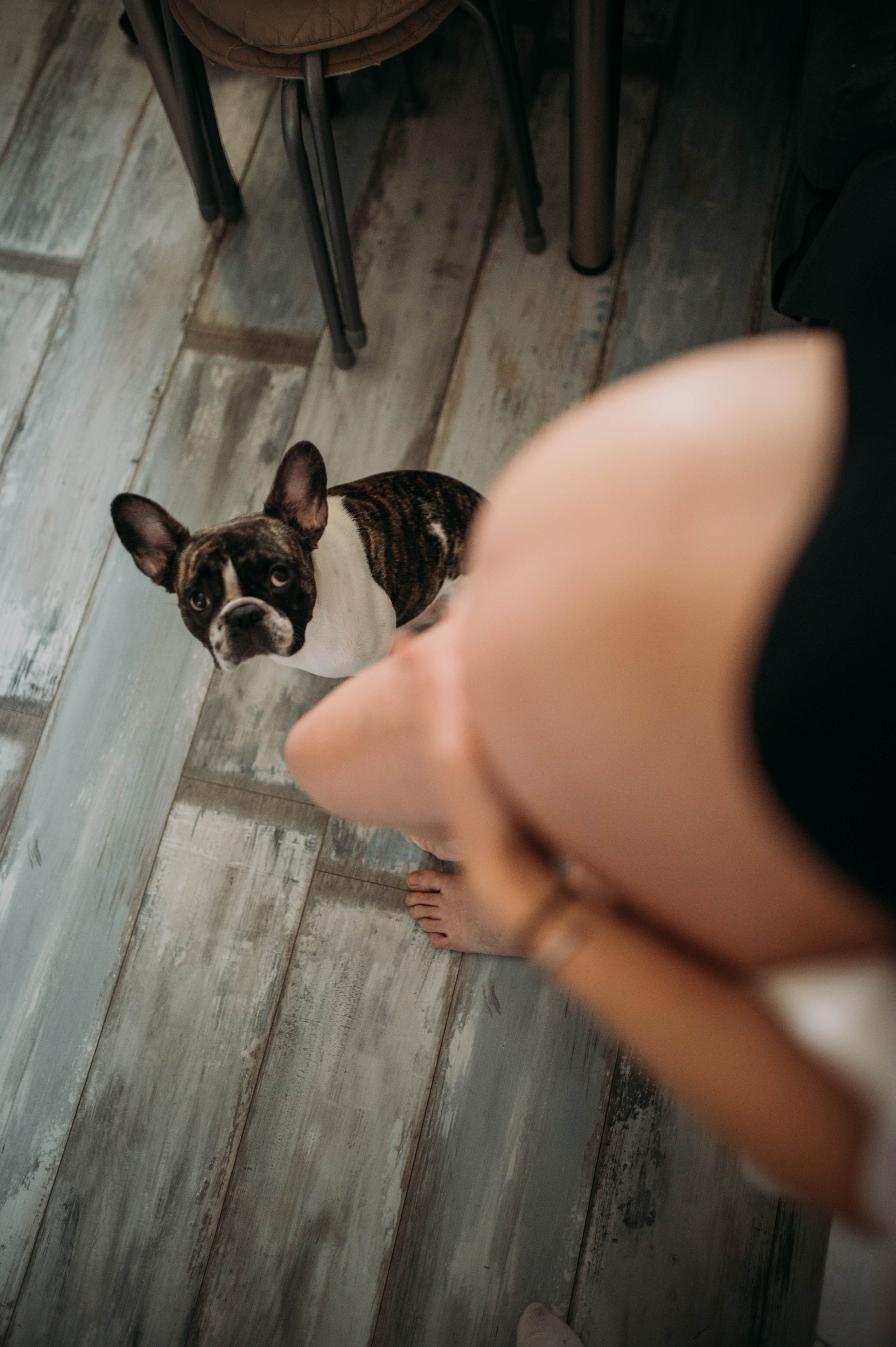 Домашняя съемка Катя, Паша и компания). Фотограф Нижний Новгород Екатерина Кукленкова