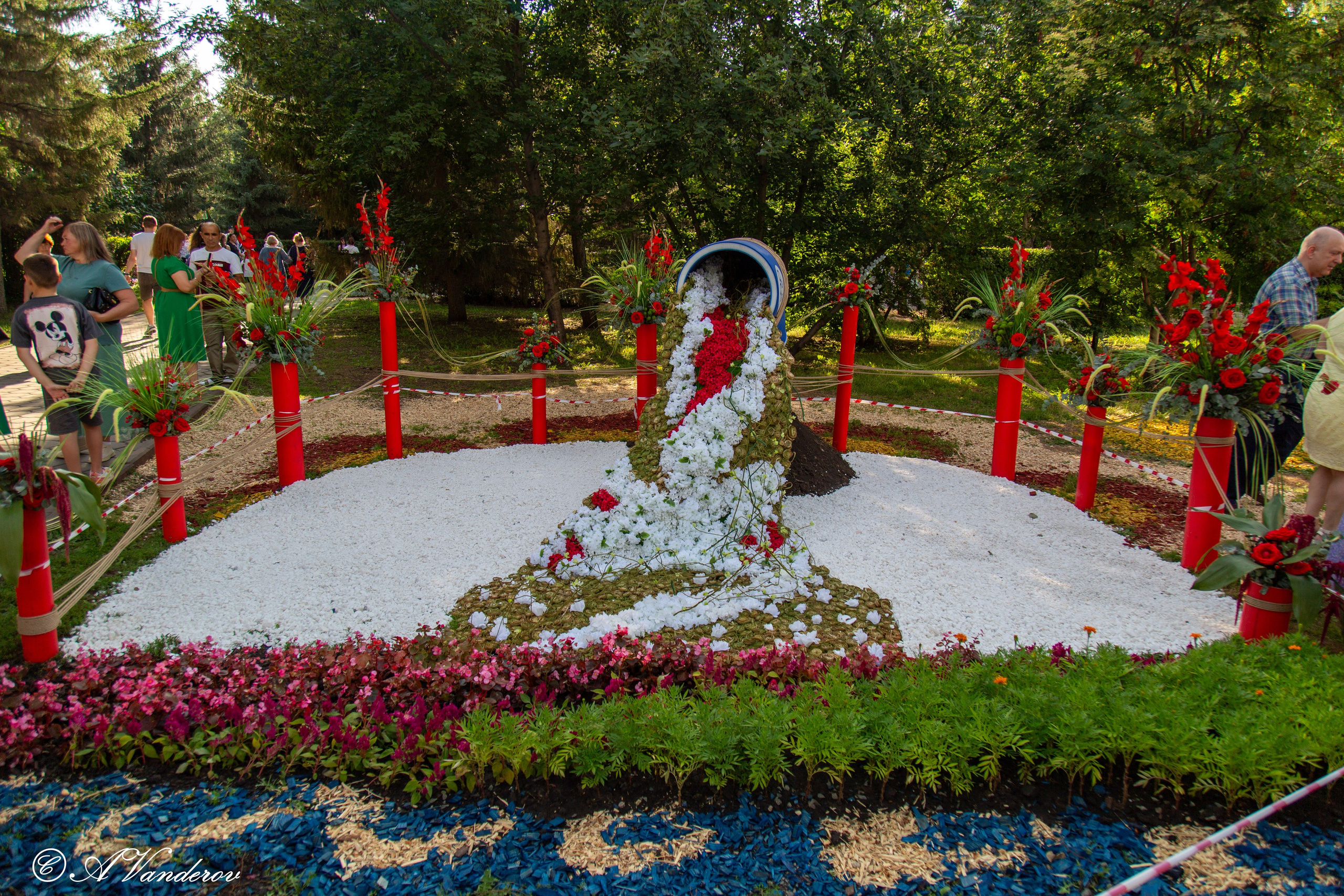 День города 03.08.2024. Фотограф Омск | Александр Вандеров