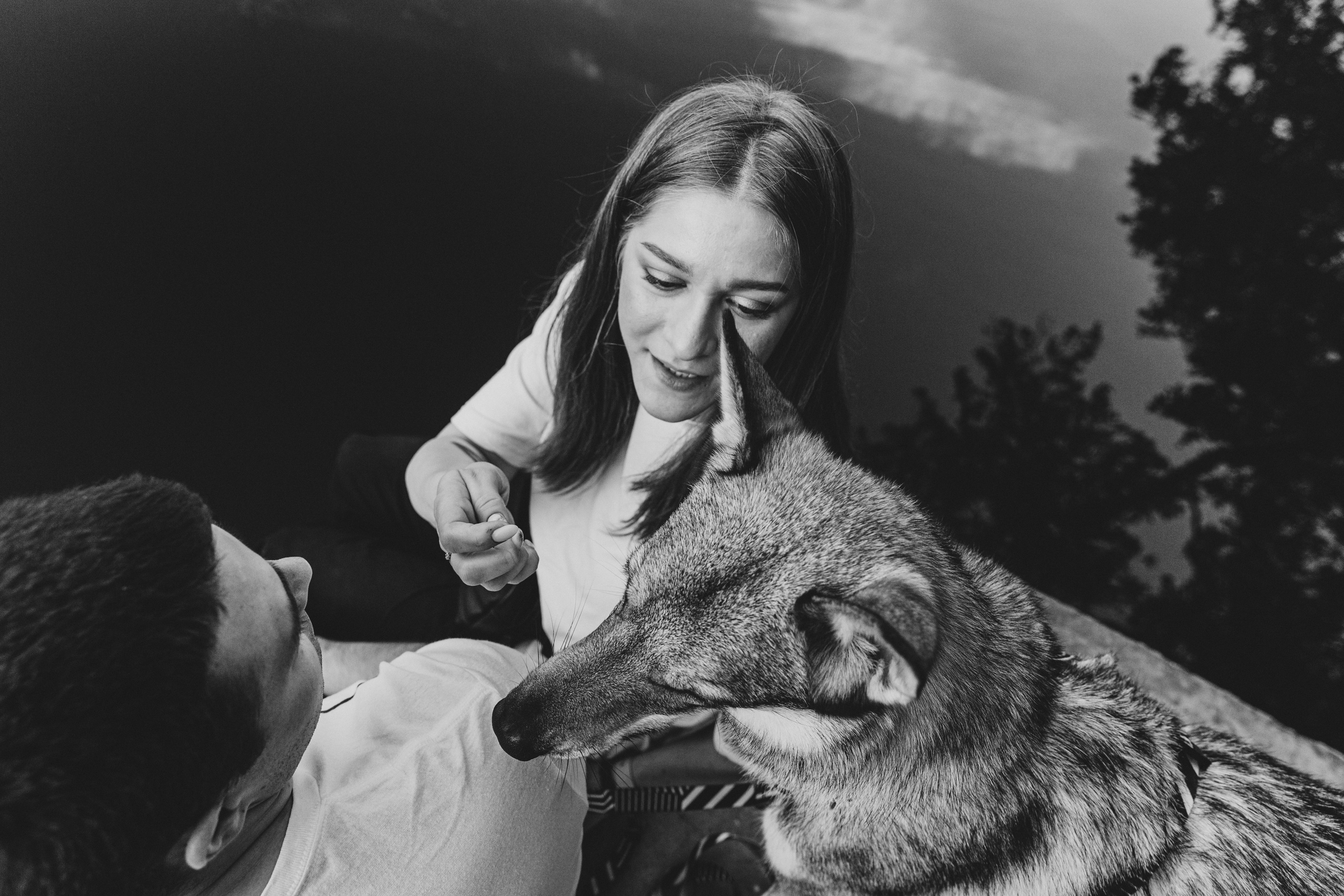 Фотограф-анималист в Москве Соломонова Варвара