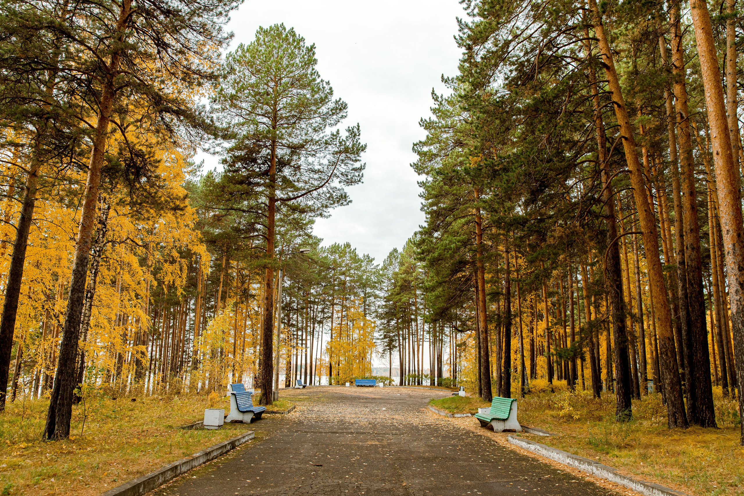 Осень в парке. Семейный и детский фотограф в Железногорске Саламахо Ольга