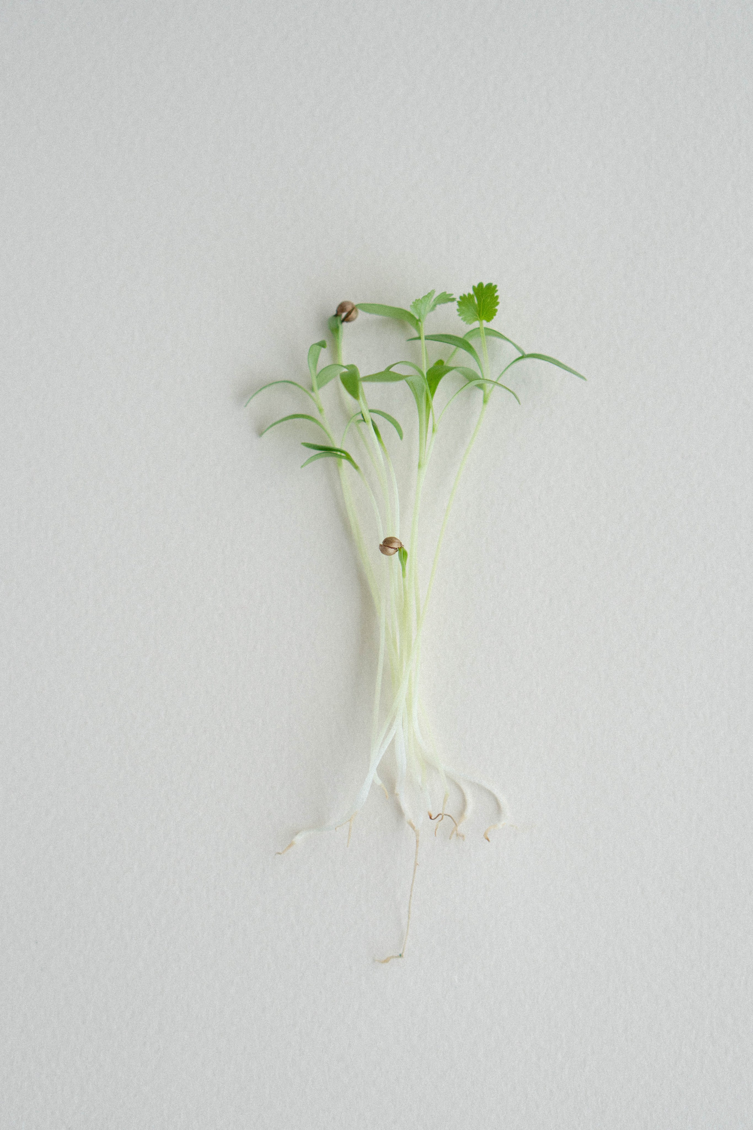 Предметная съемка. Видеограф Зинченко Татьяна г. Пермь