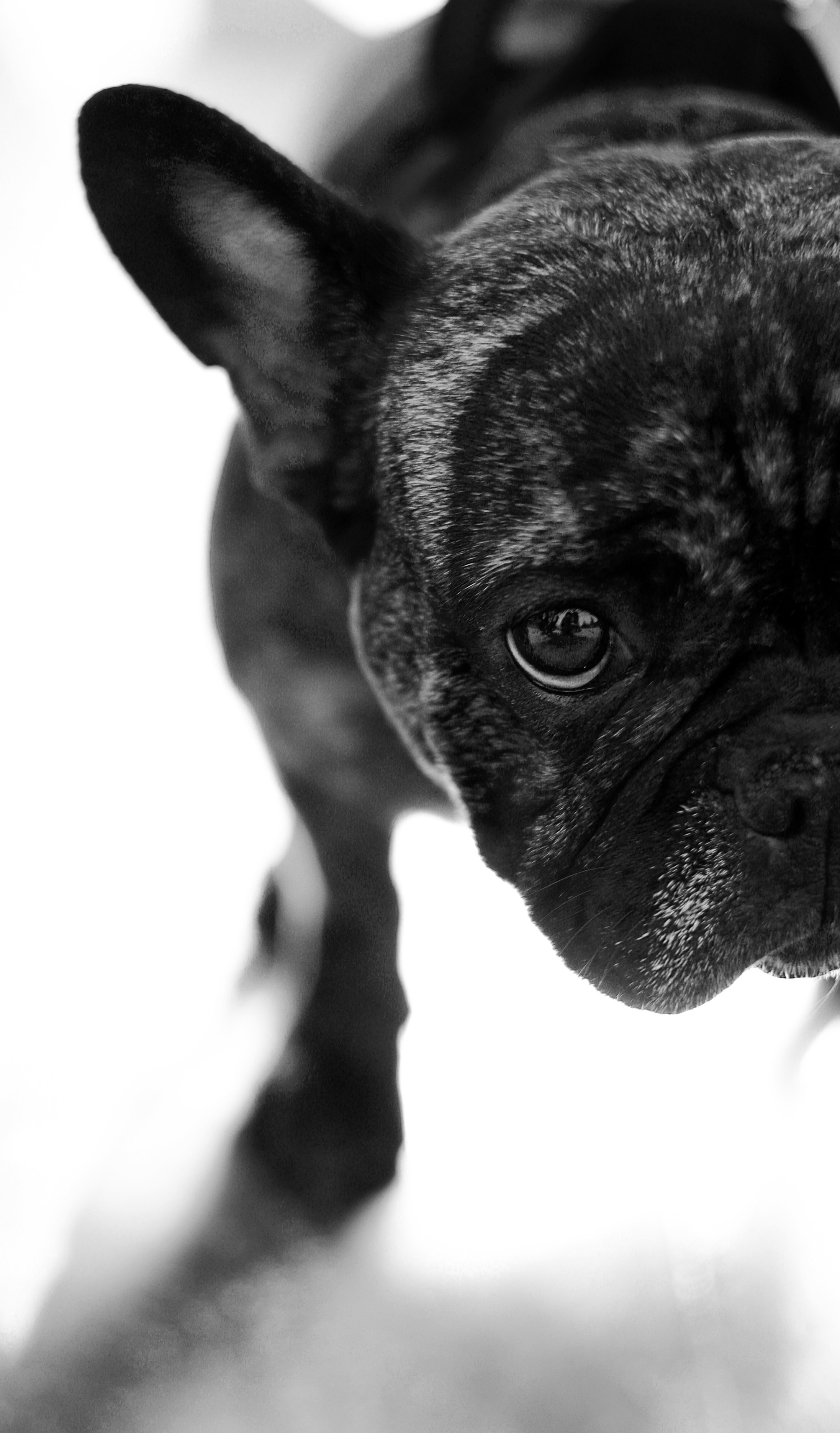 Lovestory Лёша & Аня, Веня & Бармалей в Тюфелевой Роще. Портретный и семейный фотограф в Москве Мария Рослякова