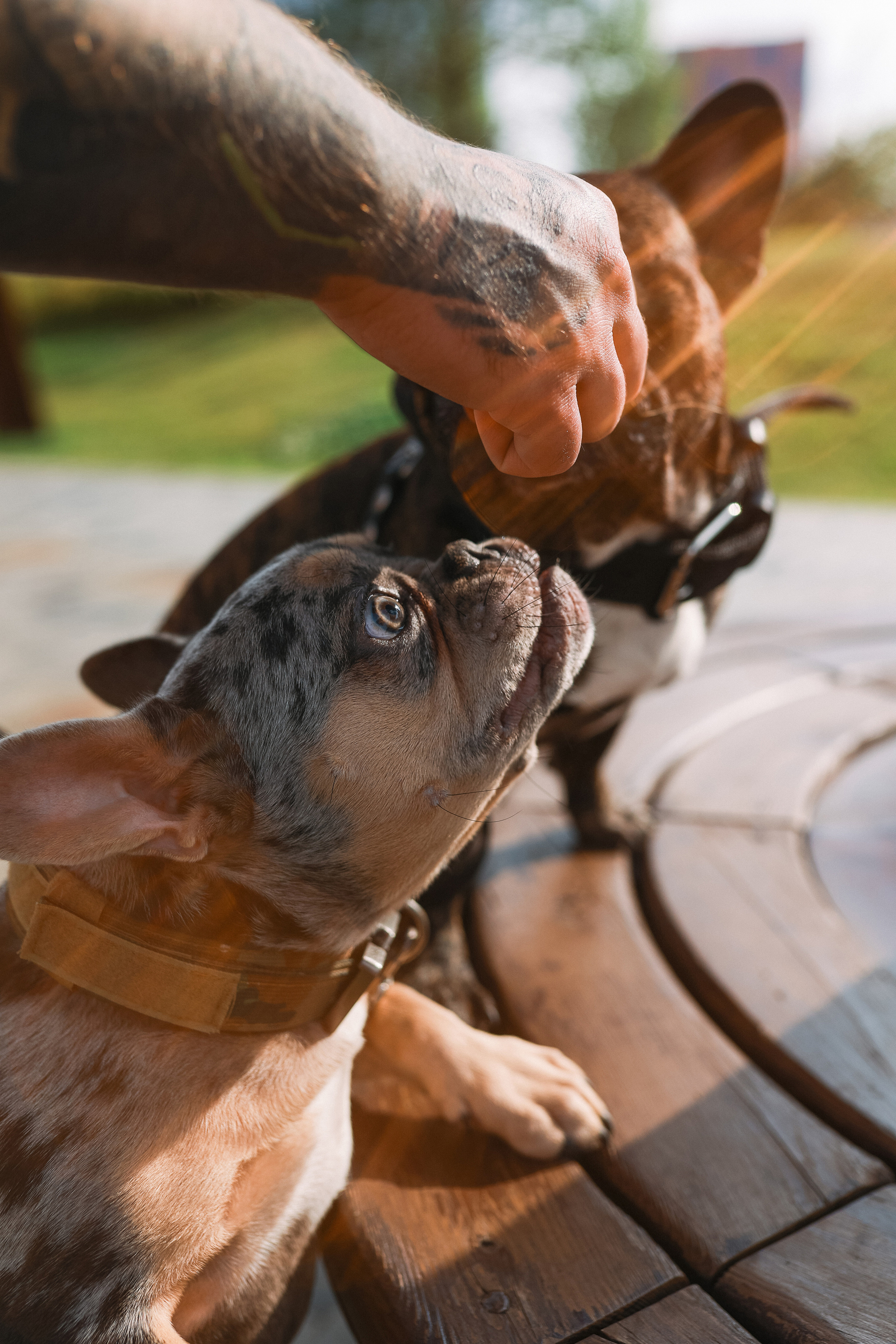Lovestory Лёша & Аня, Веня & Бармалей в Тюфелевой Роще. Портретный и семейный фотограф в Москве Мария Рослякова