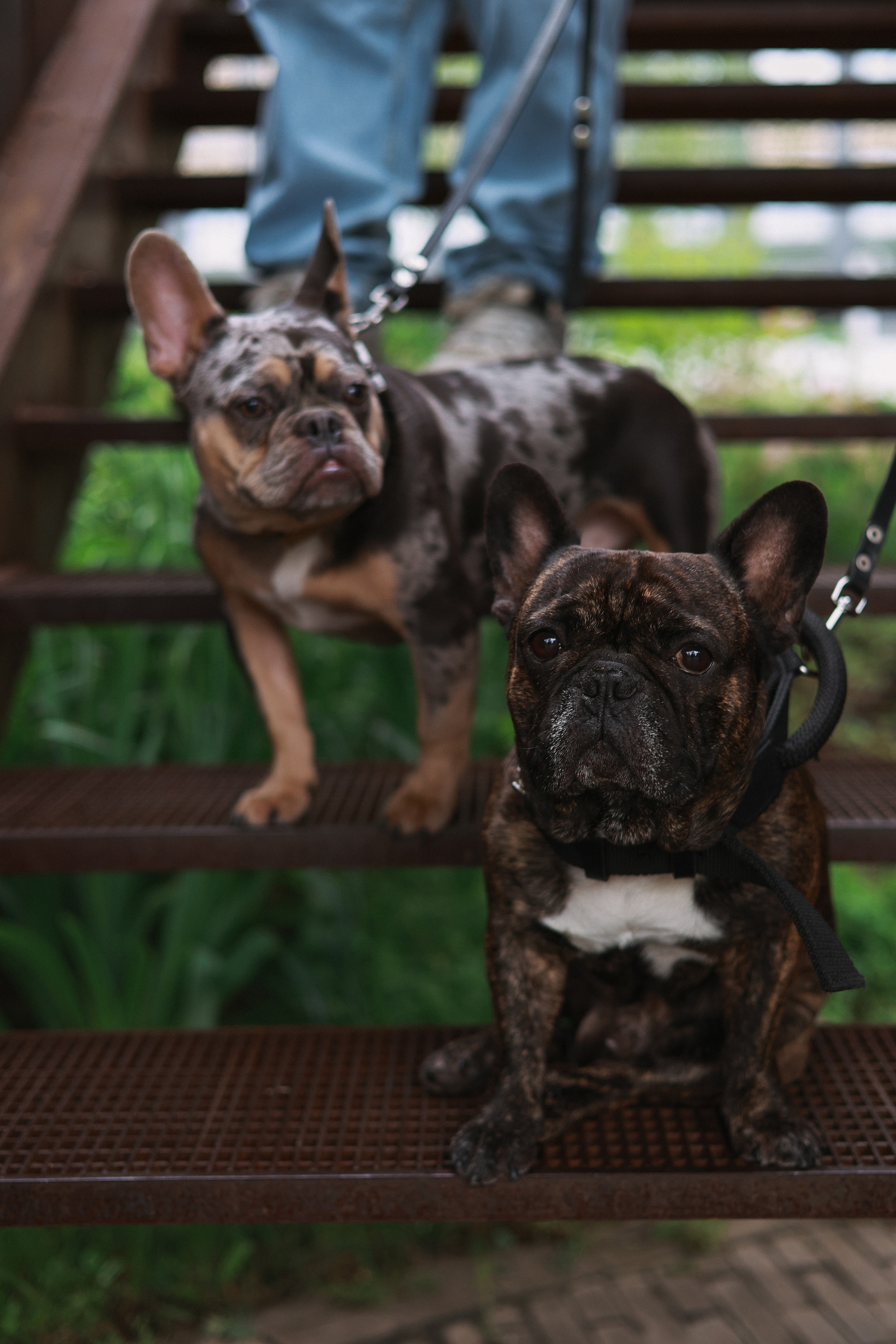 Lovestory Лёша & Аня, Веня & Бармалей в Тюфелевой Роще. Портретный и семейный фотограф в Москве Мария Рослякова
