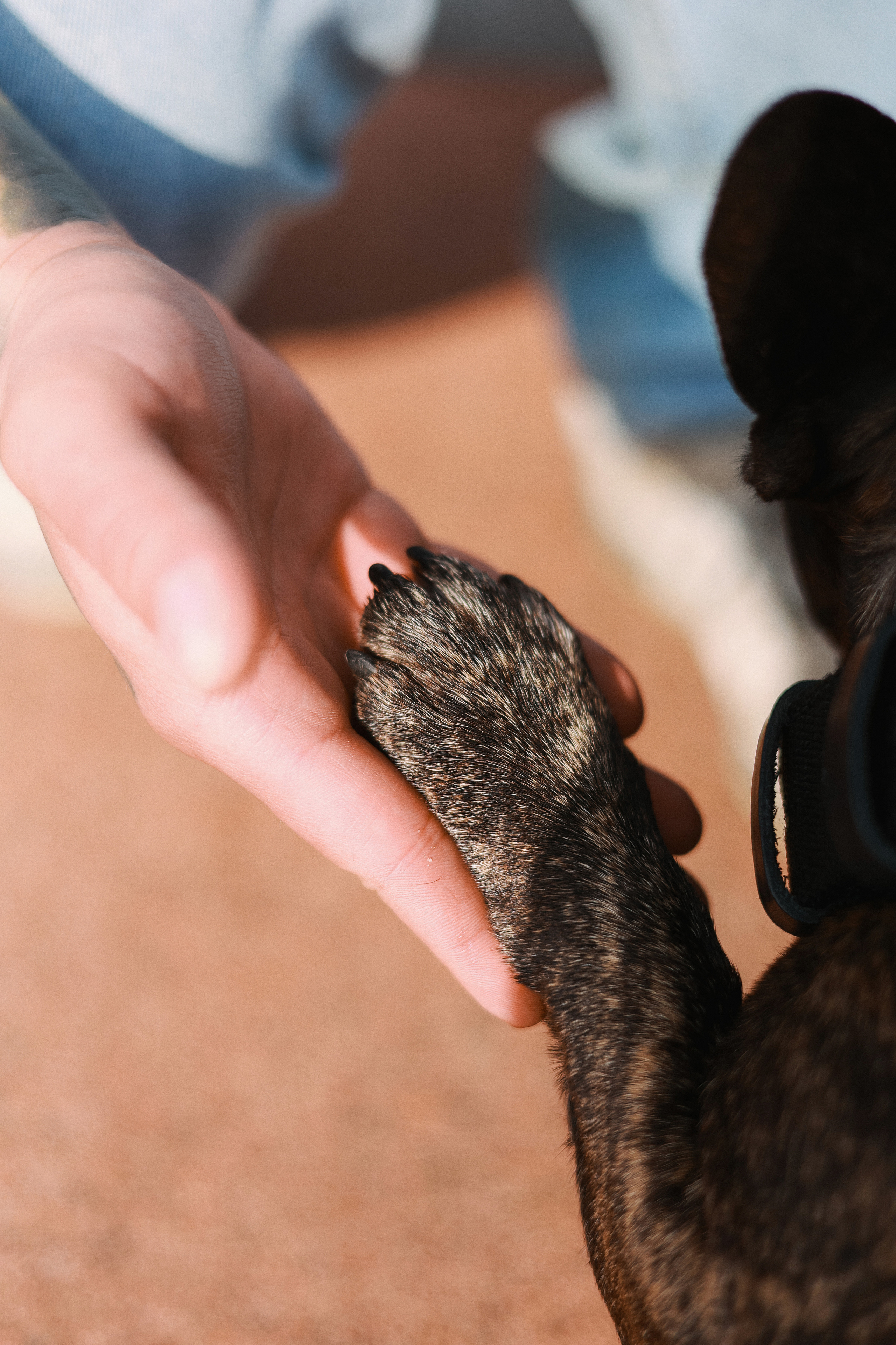 Lovestory Лёша & Аня, Веня & Бармалей в Тюфелевой Роще. Портретный и семейный фотограф в Москве Мария Рослякова