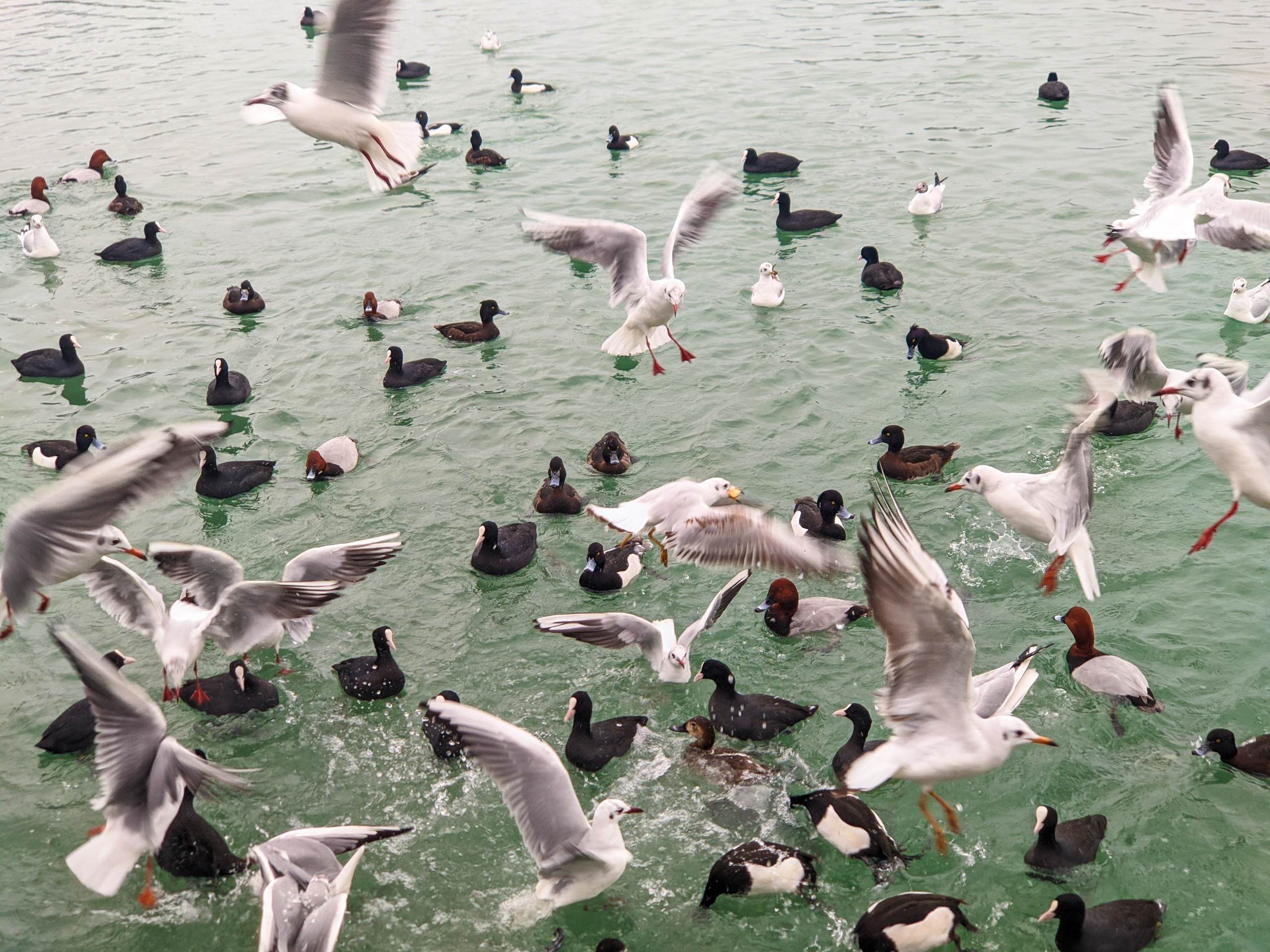 Атмосферная натурная фотография. Любовь Каширская — фотограф для малого бизнеса и специалистов