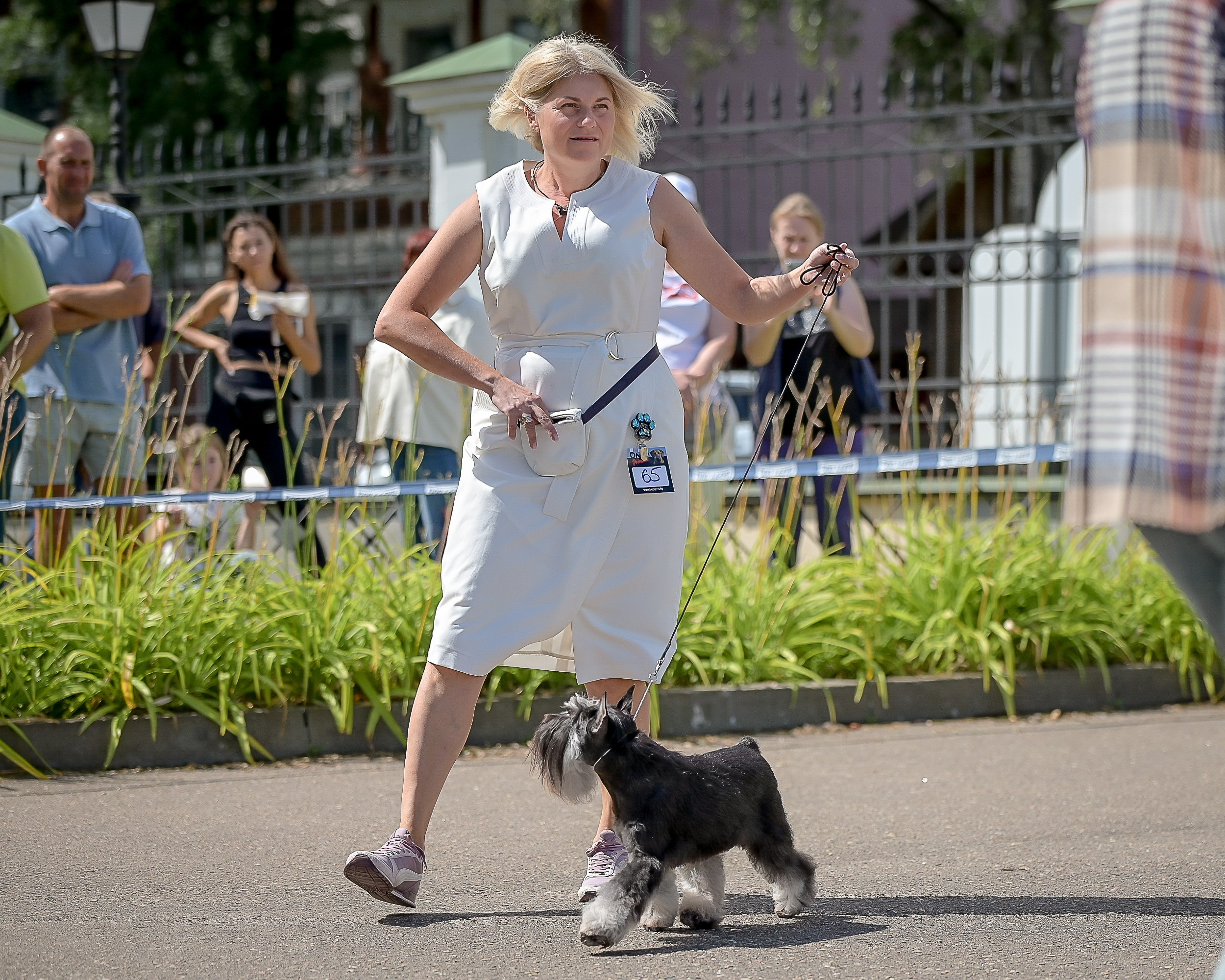 Питомник Делинсо Бэлэнс, щенки цвергшнауцера, купить щенка цвергшнауцера, питомник цвергшнауцеров, кобель цвергшнауцера для вязки, щенок цвергшнауцера, питомник цвергшнауцеров, черный с серебром, цверг, лучший питомник в беларуси, питомник цвергшнауцеров минск