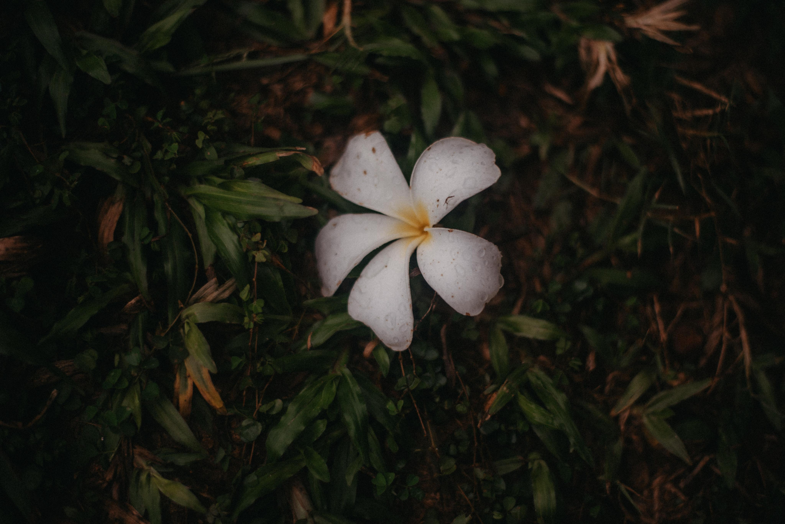 Океан. Главная