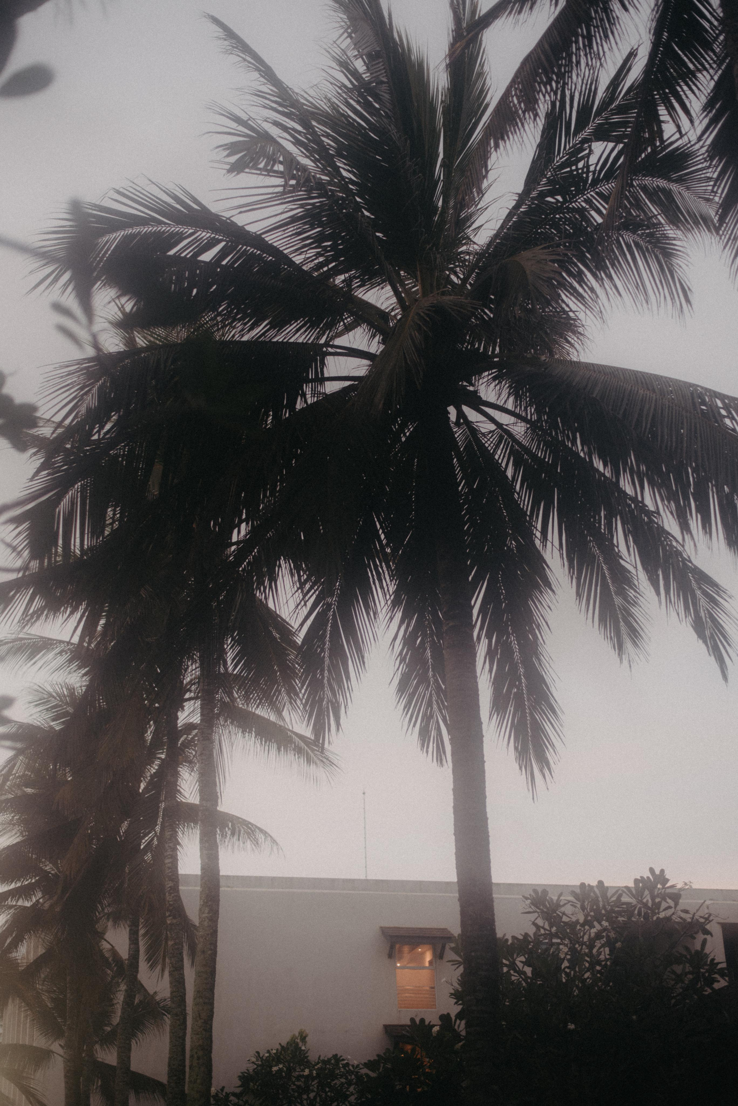 Океан. Главная