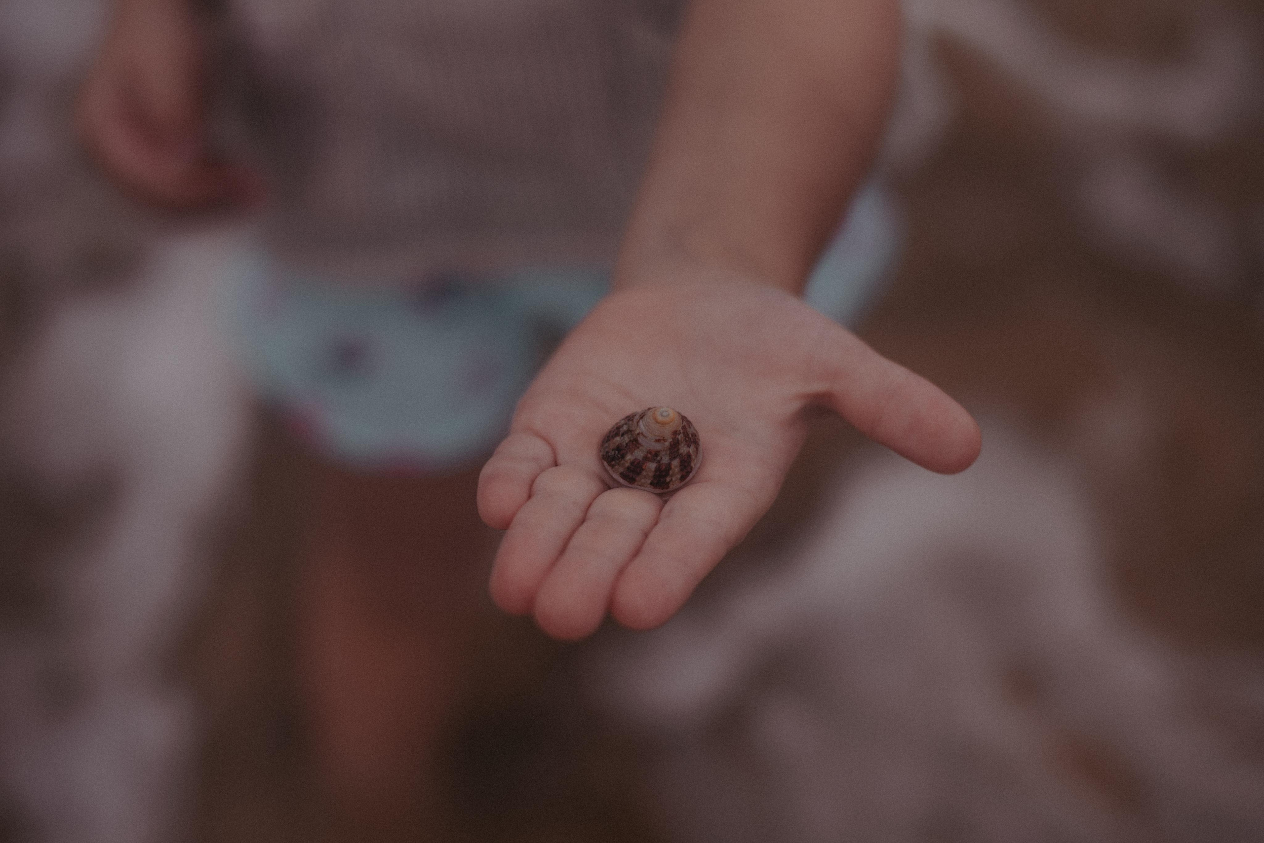 Океан. Главная