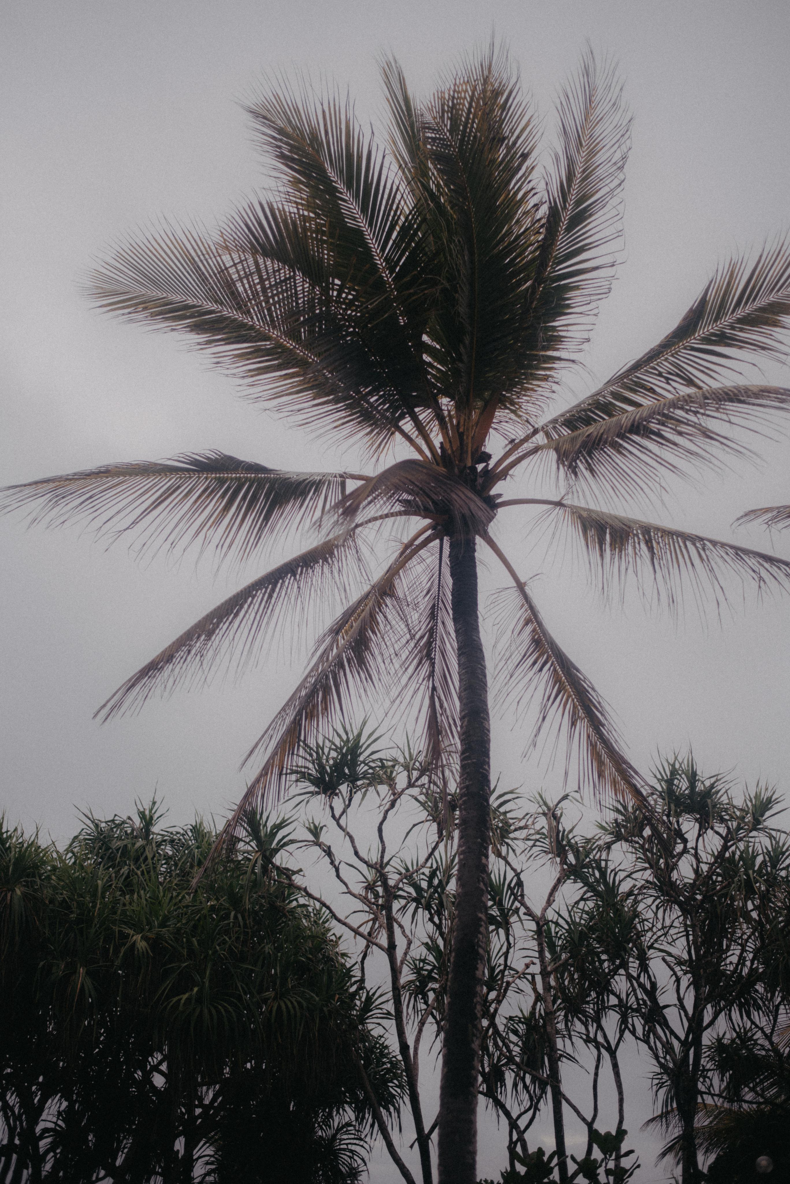 Океан. Главная