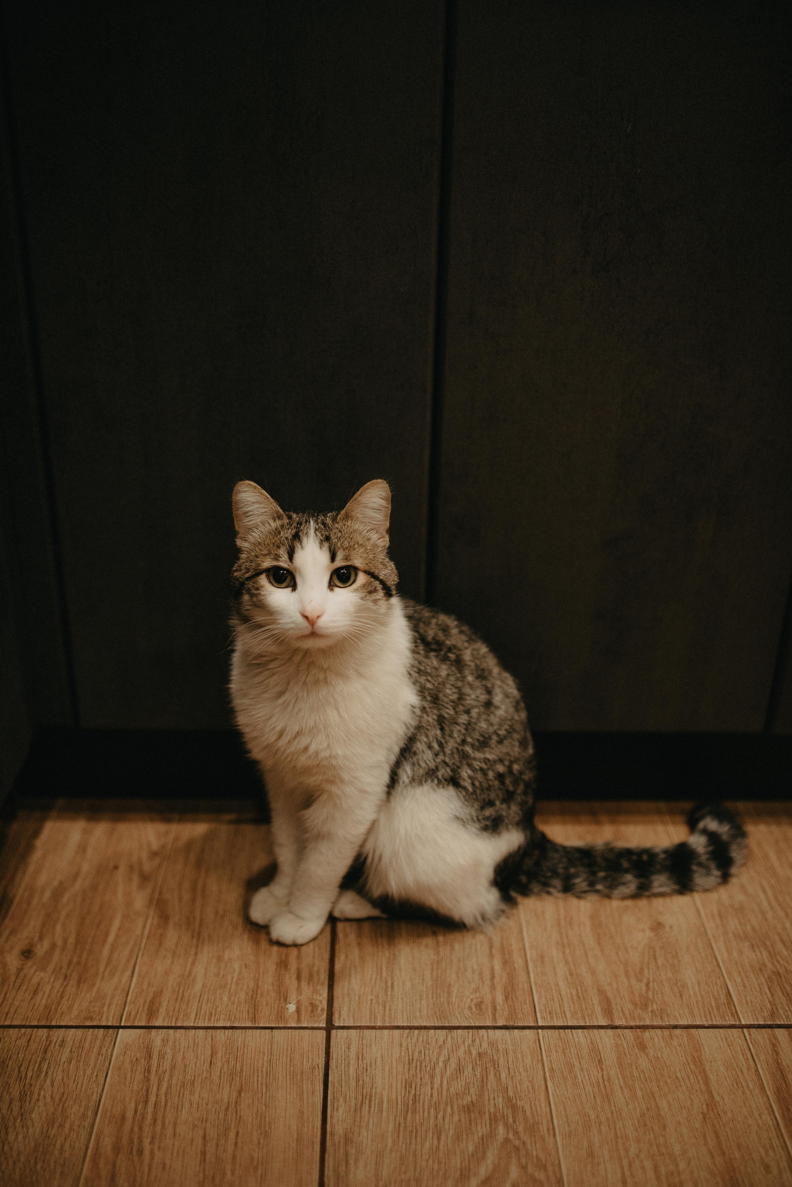 Дом, в котором тепло. Главная