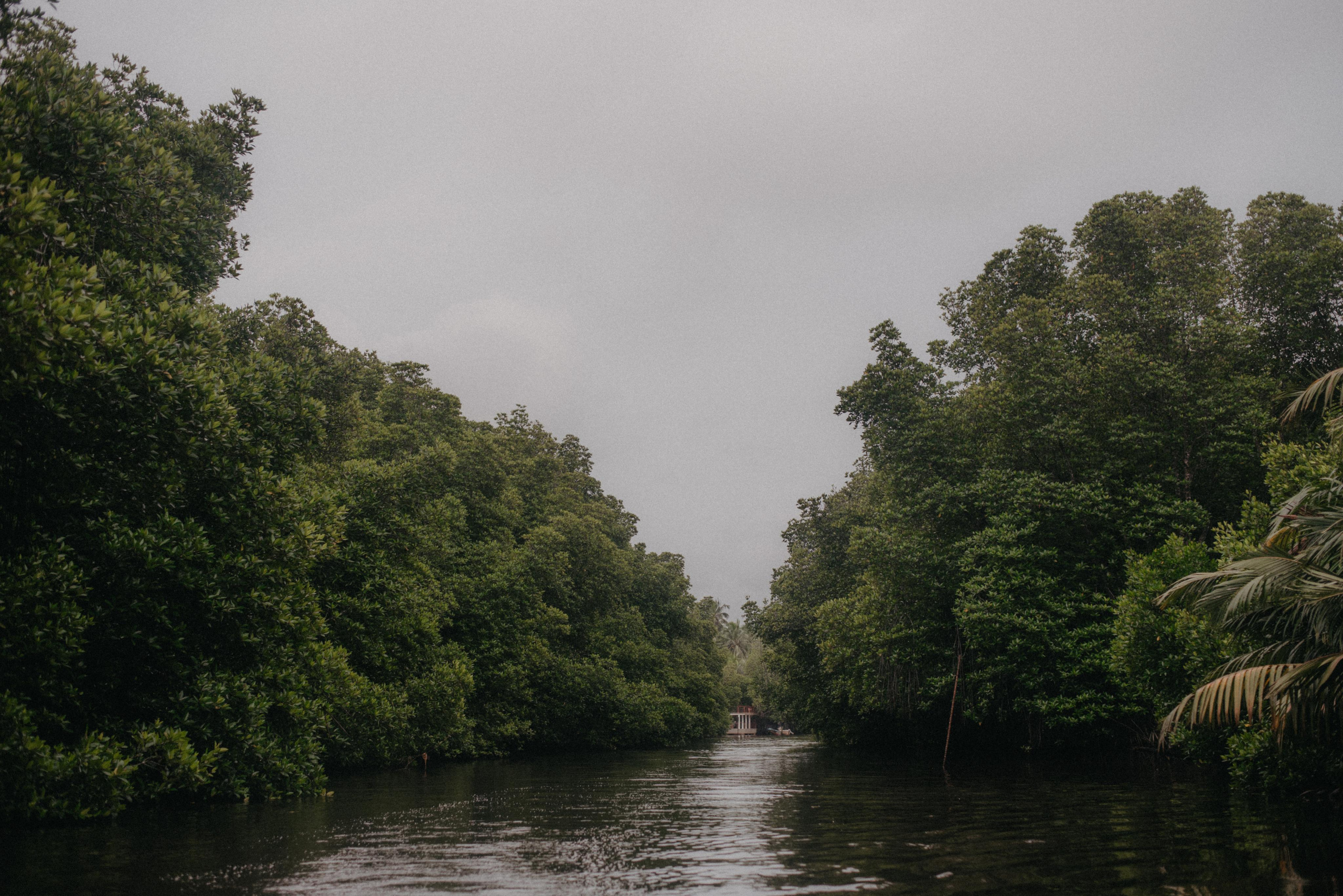 Океан. Главная