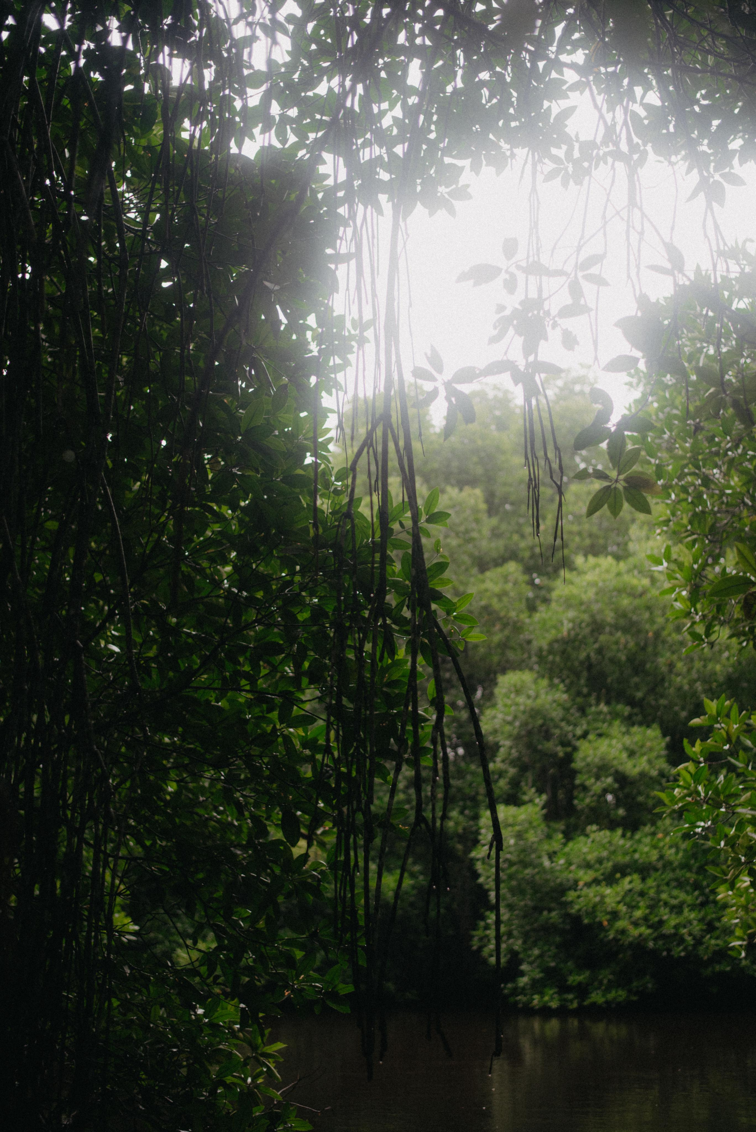 Океан. Главная