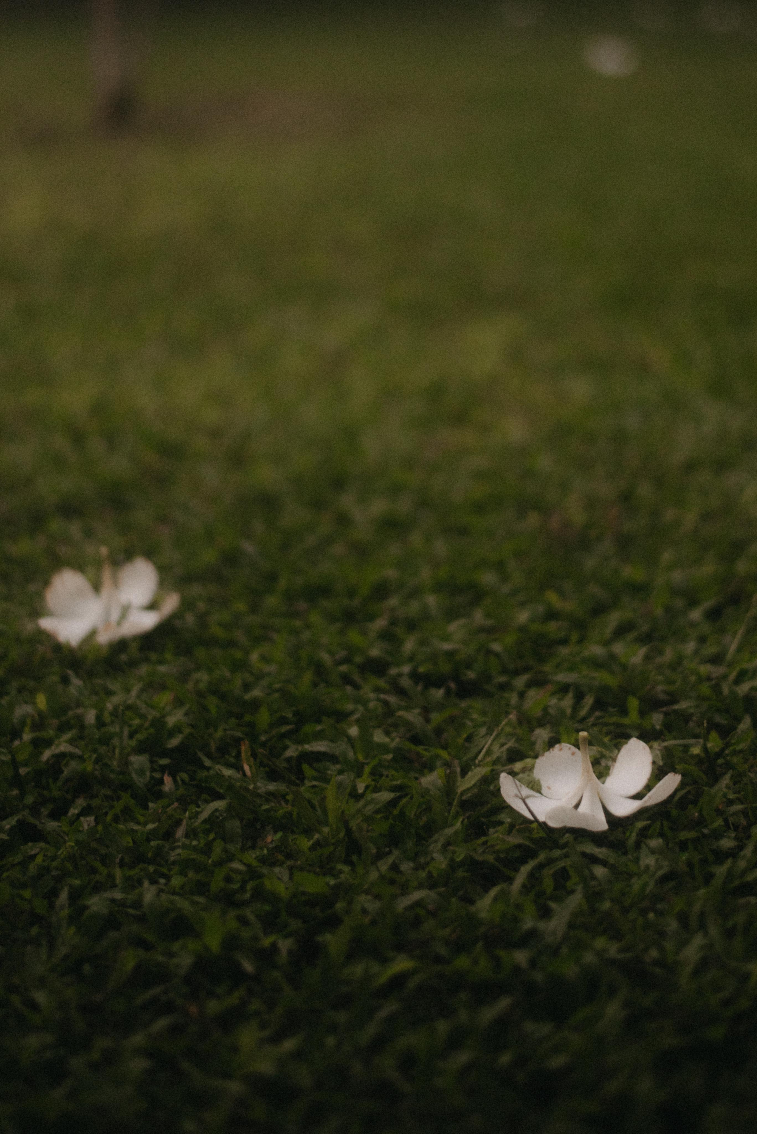 Океан. Главная