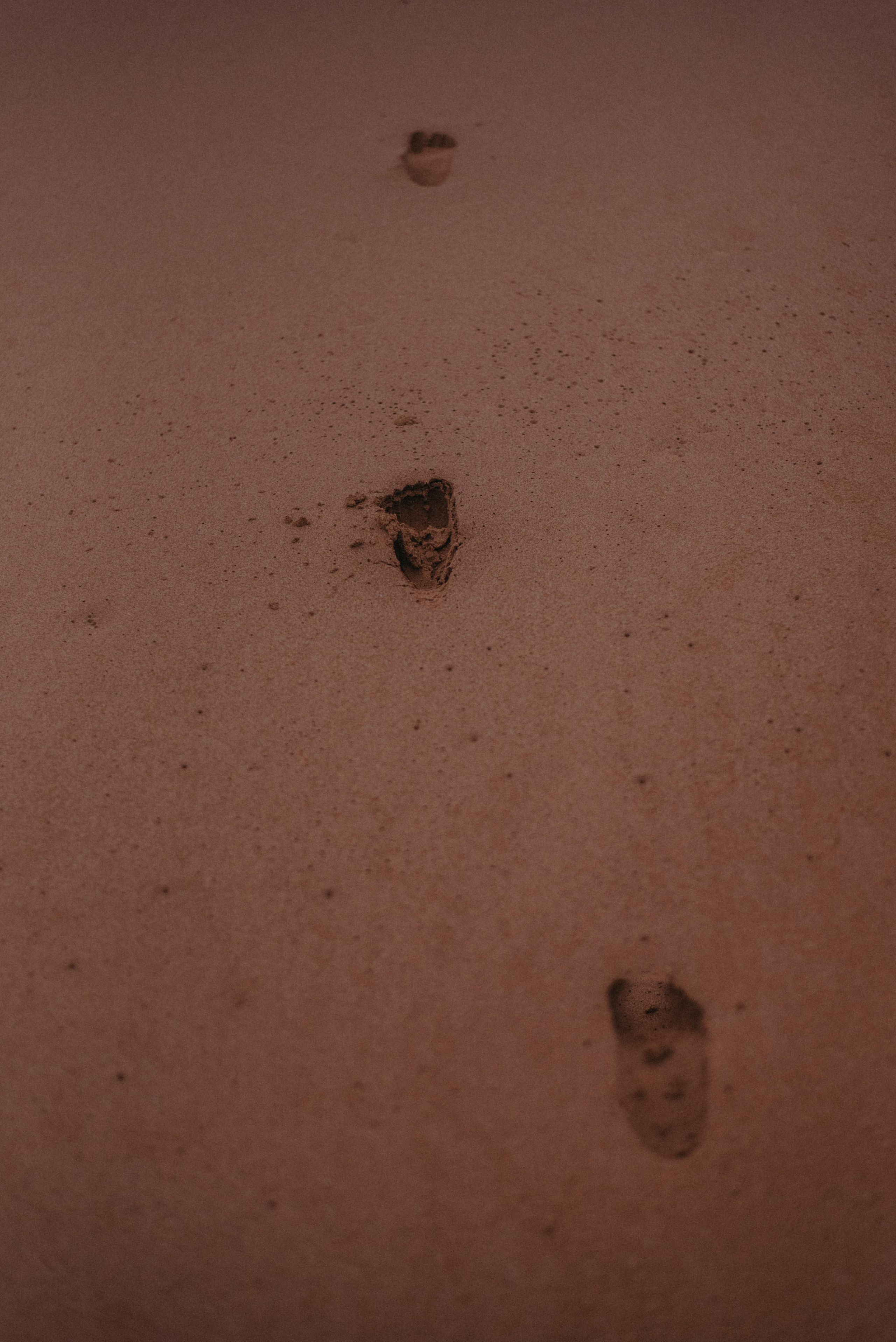 Океан. Главная