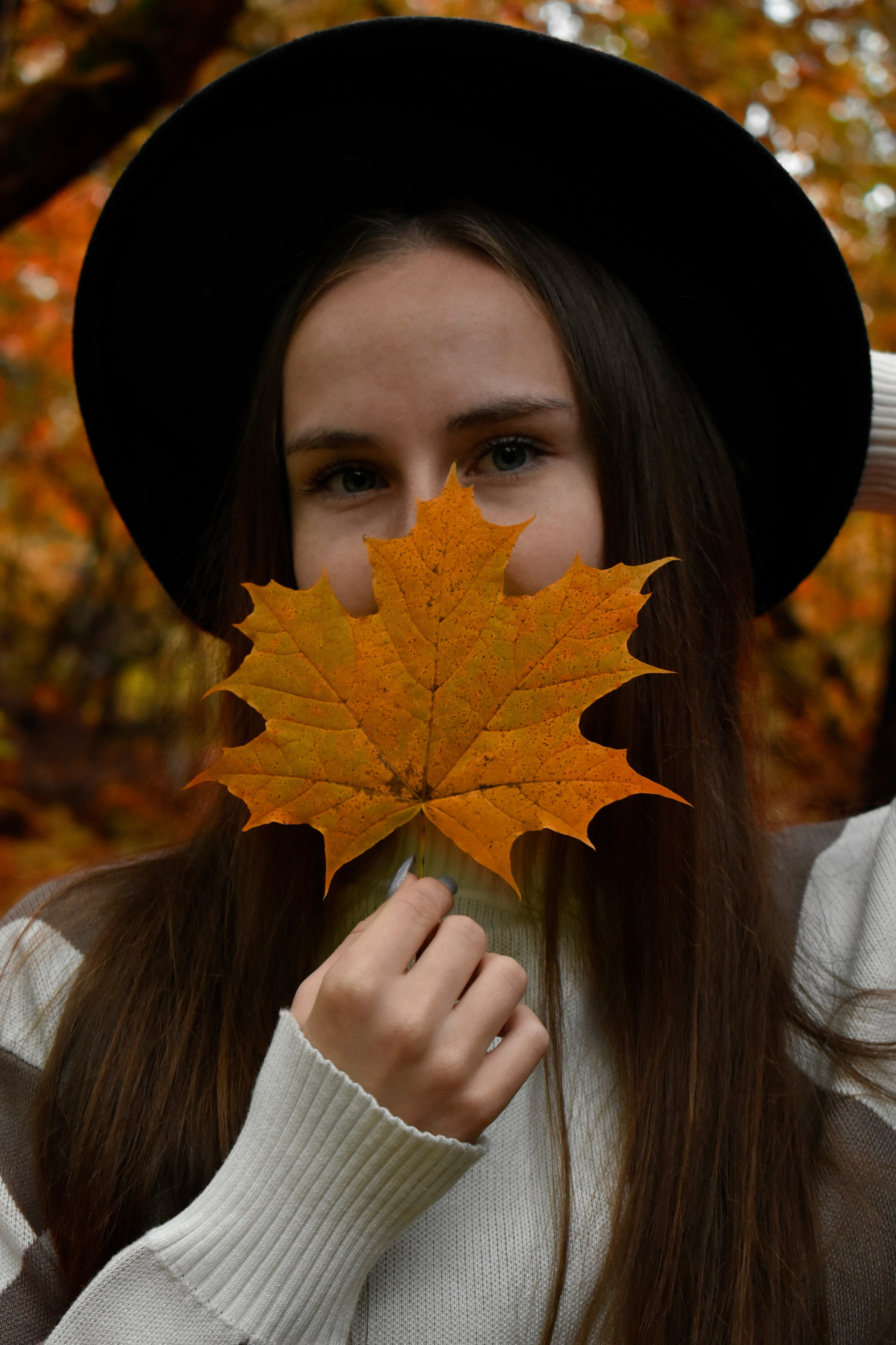 Конный фотограф Москва