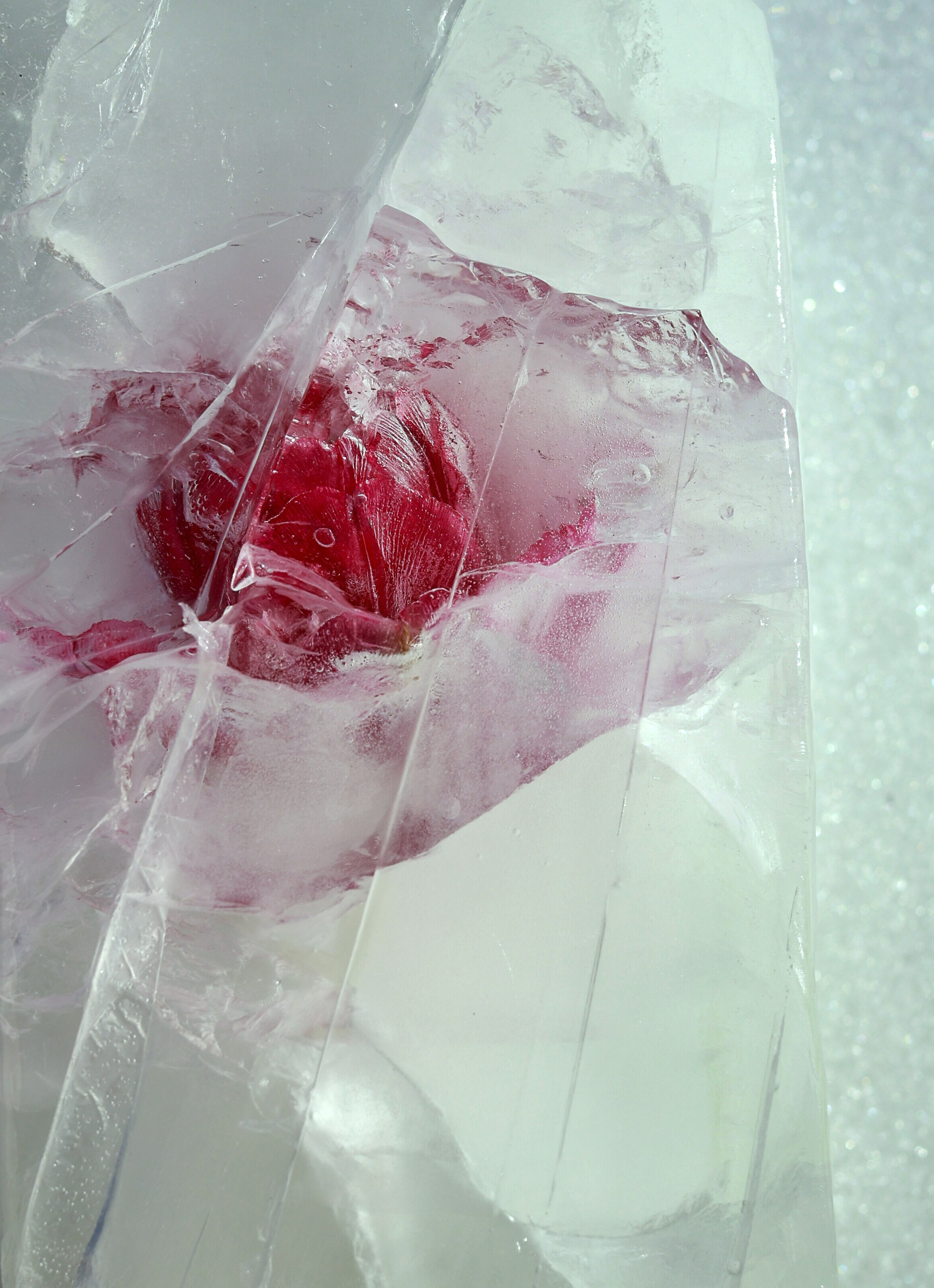 Серия „Лед и пламень“. צלם ואמן ילדים ומשפחה