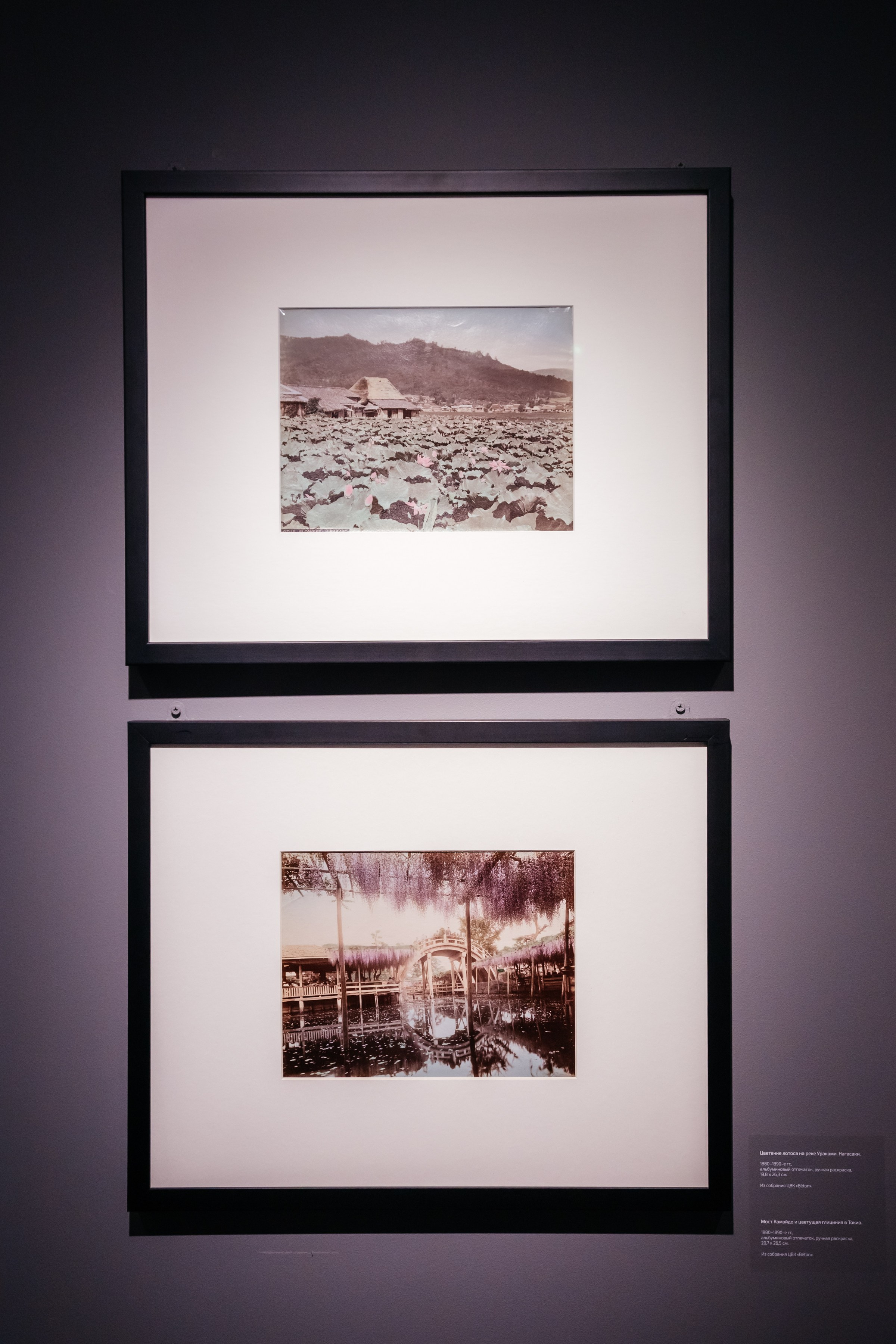 ЯПОНИЯ. ДРУГОЙ МИР. Фотограф в Красноярске Оксана Корчагина