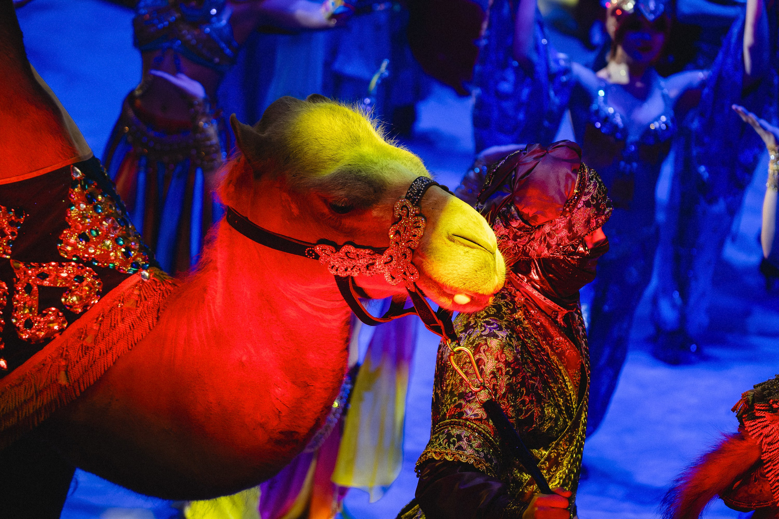 Пресс-показ шоу «Песчаная Сказка». Воробьева Ксения — Спортивный и танцевальный фотограф Новосибирск