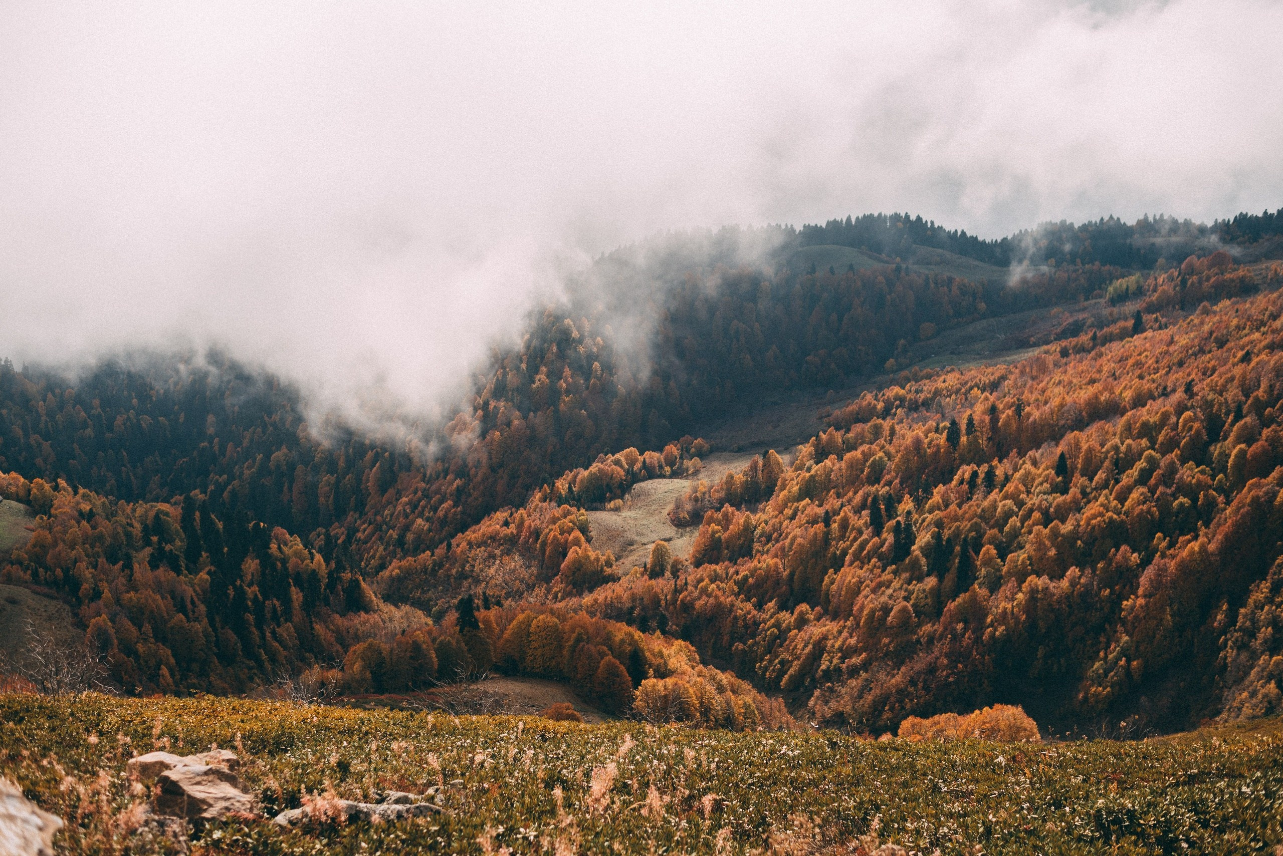 Фотосессия в горах Красной поляны. Фотограф в Сочи — Маргарита Поганова