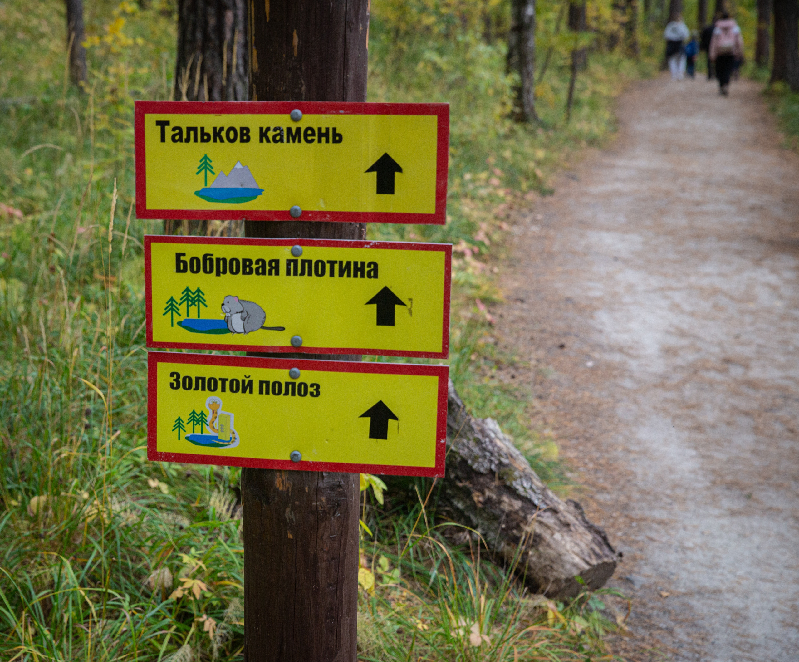 ТАЛЬКОВ КАМЕНЬ УРАЛТЭП МИХАИЛ БОВЕ. Фотограф для маркетплейсов Михаил Бове