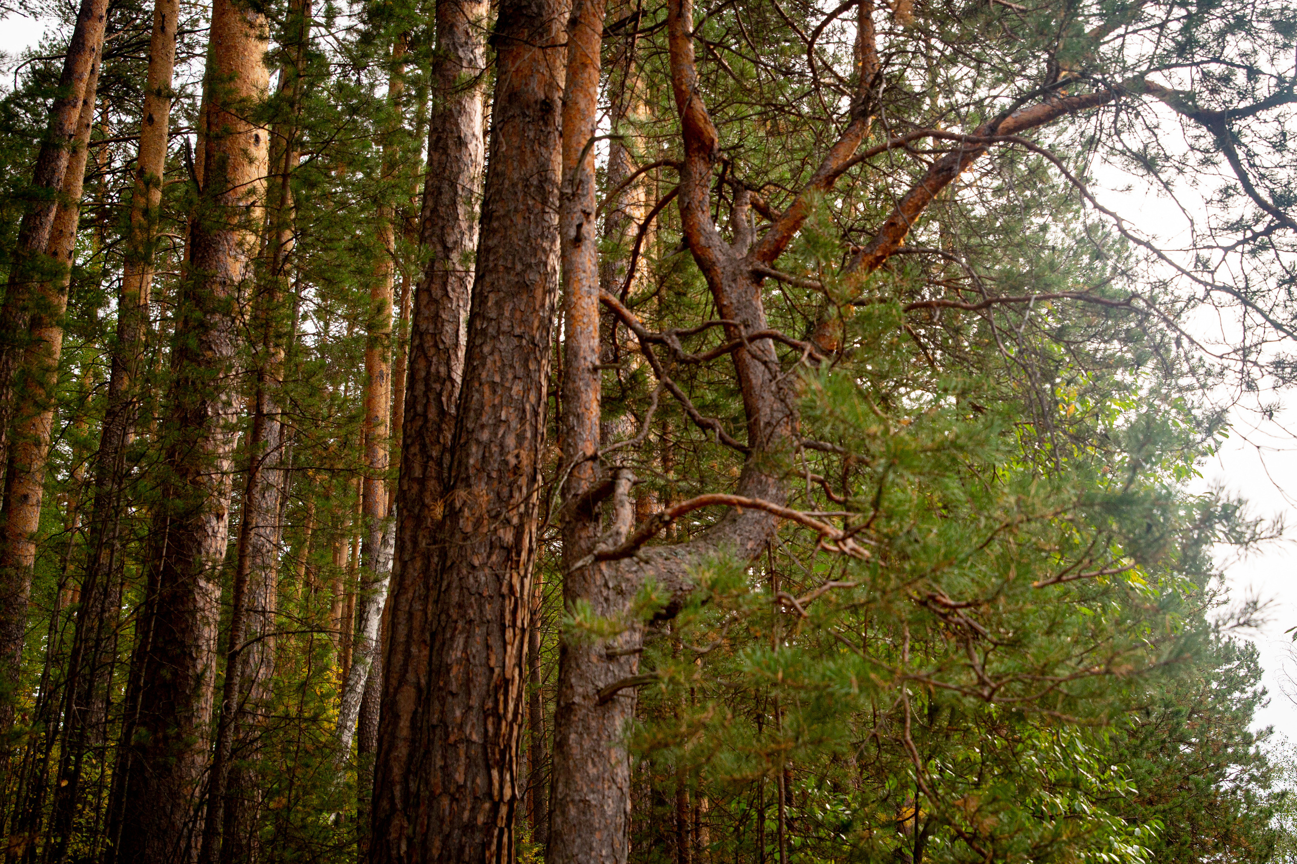 ТАЛЬКОВ КАМЕНЬ УРАЛТЭП МИХАИЛ БОВЕ. Фотограф для маркетплейсов Михаил Бове