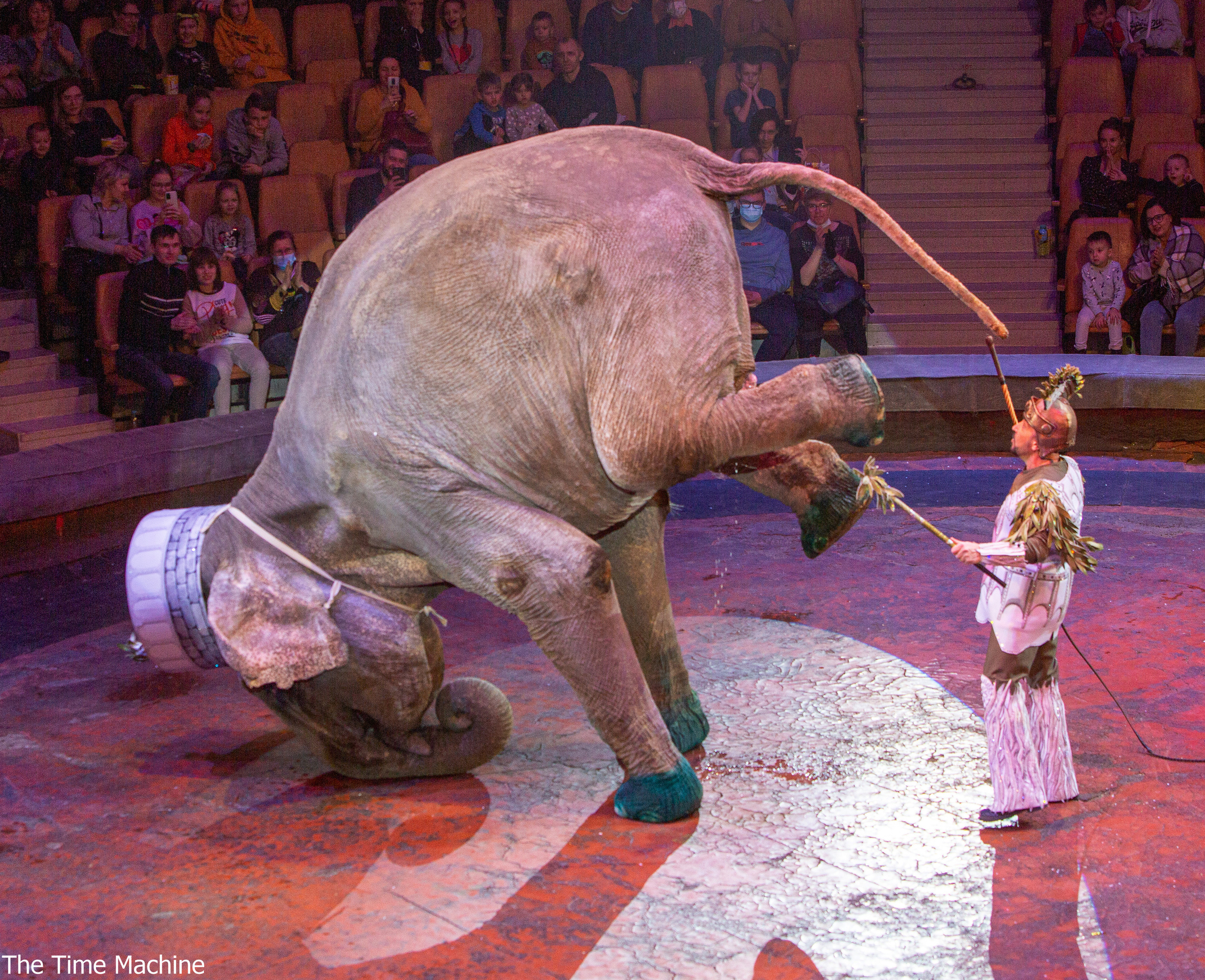 Цирк «Счастливый билет» 2022. Фотограф для маркетплейсов Михаил Бове