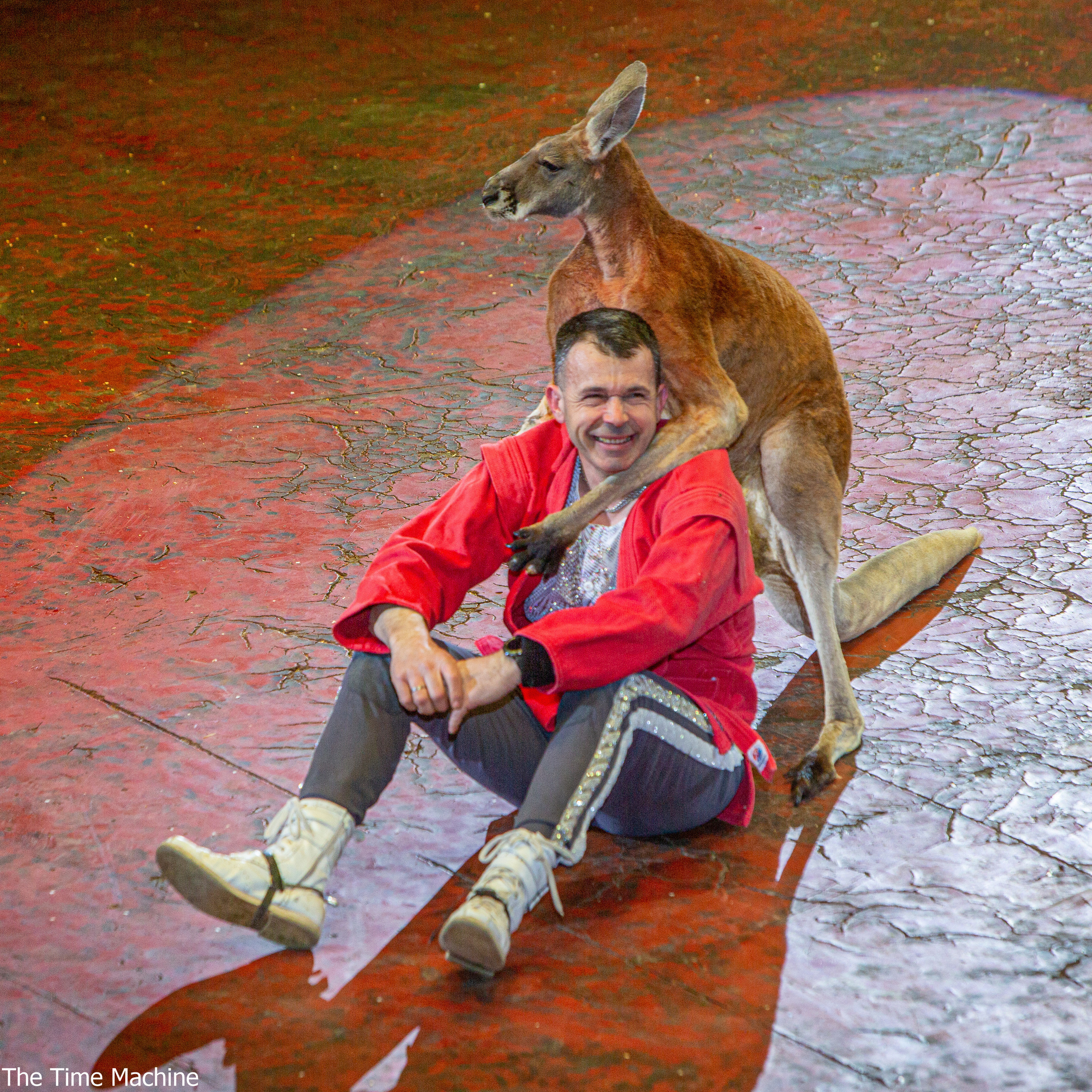 Цирк «Счастливый билет» 2022. Фотограф для маркетплейсов Михаил Бове