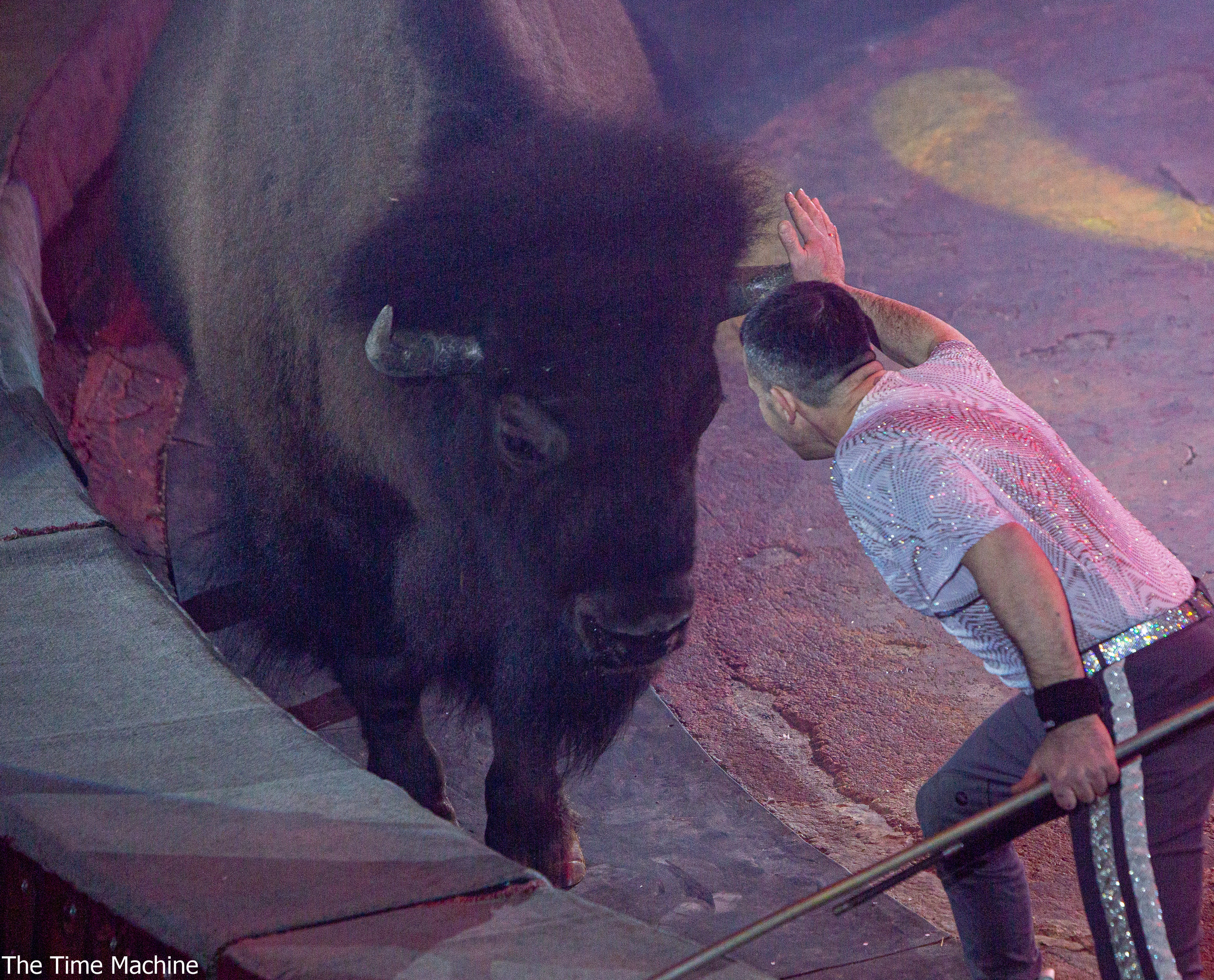 Цирк «Счастливый билет» 2022. Фотограф для маркетплейсов Михаил Бове