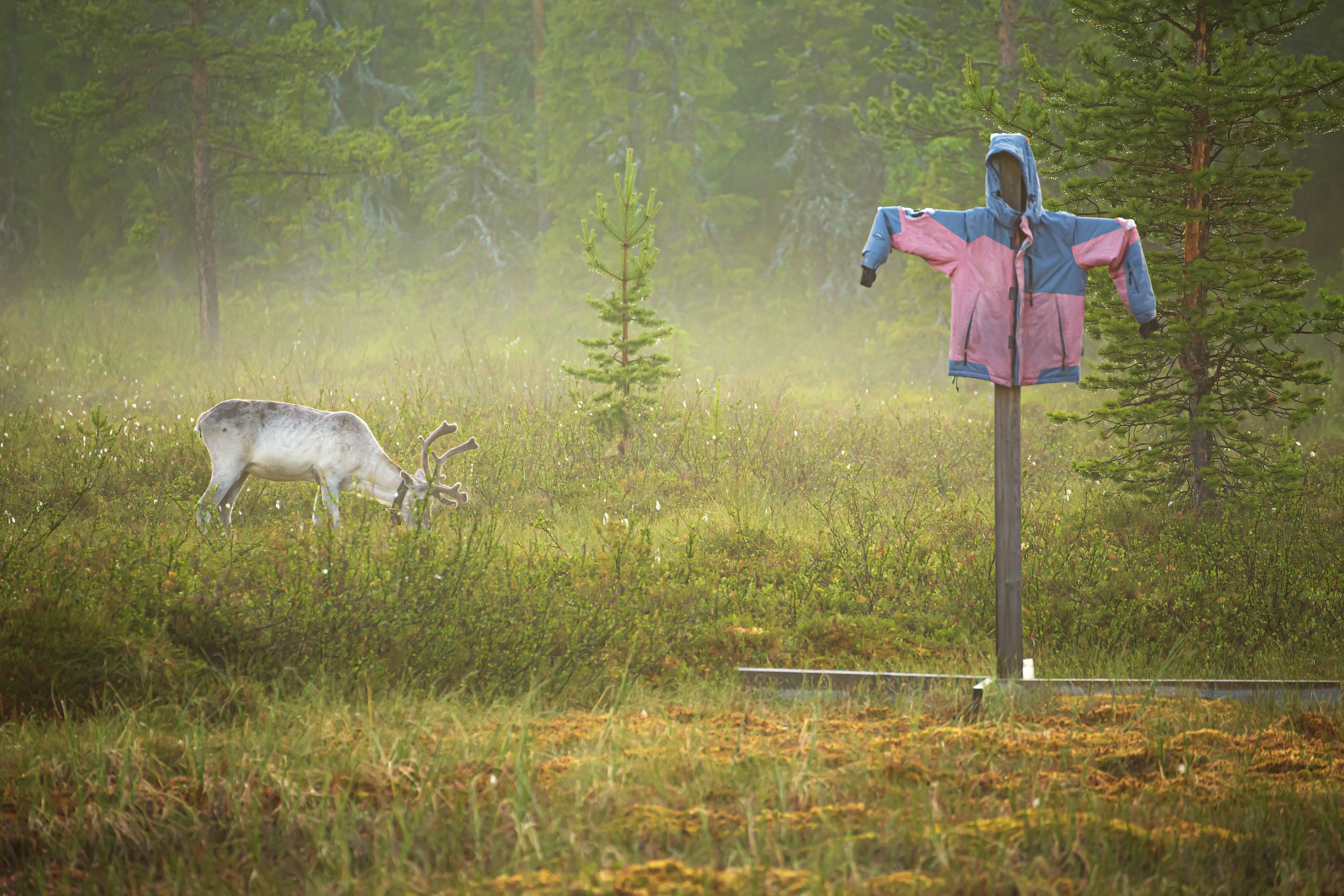 Тревел-фотограф Елизавета Ларионова