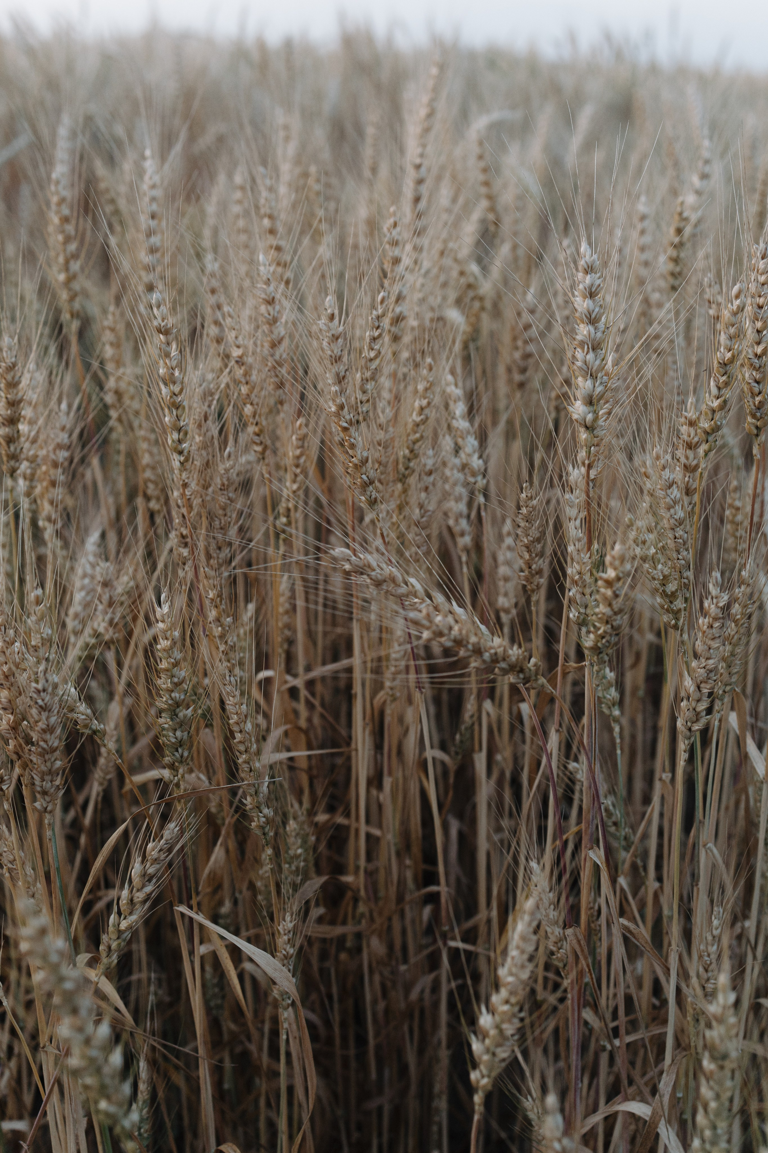 За городом. Про любовь