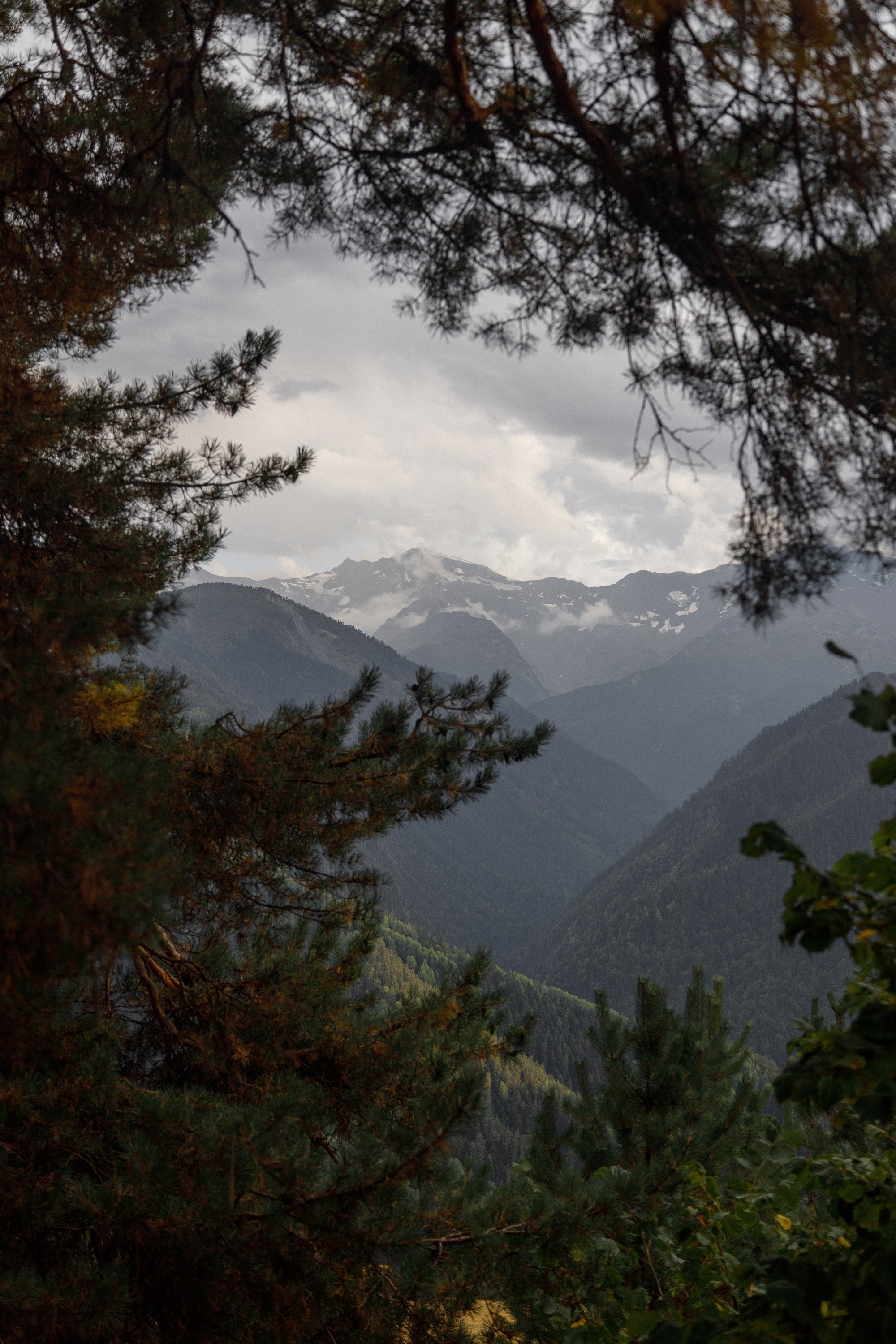 Classic Wedding presets